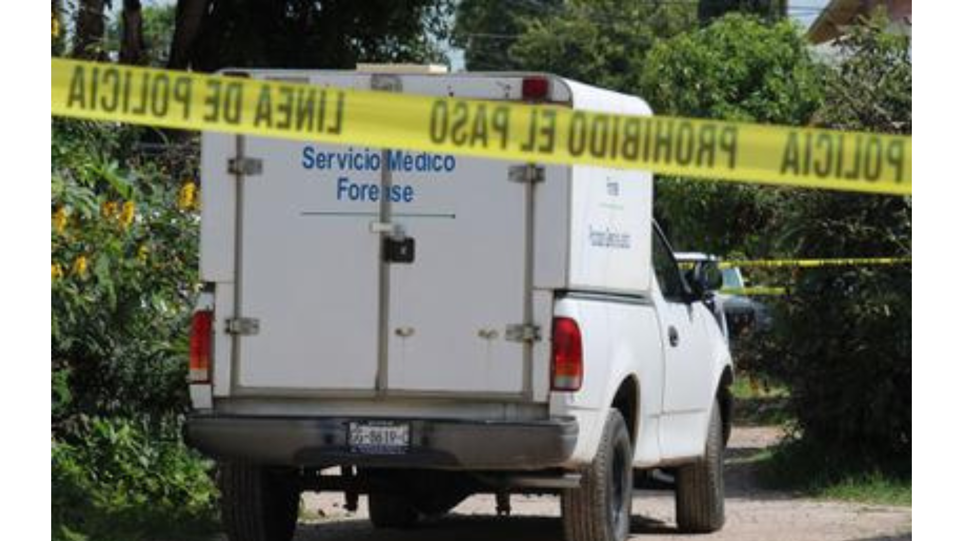 Localizaron 15 bolsas con restos humanos en las profundidades de un barranco de Jalisco