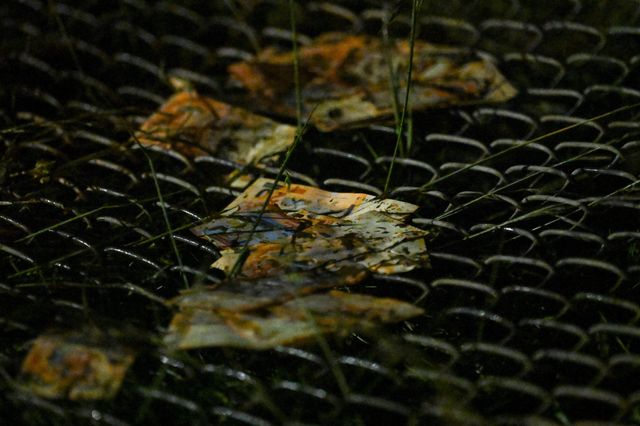 “Se acabó esta pesadilla”: el conmovedor relato de la suegra de Nahuel Gallo tras el reencuentro con el gendarme