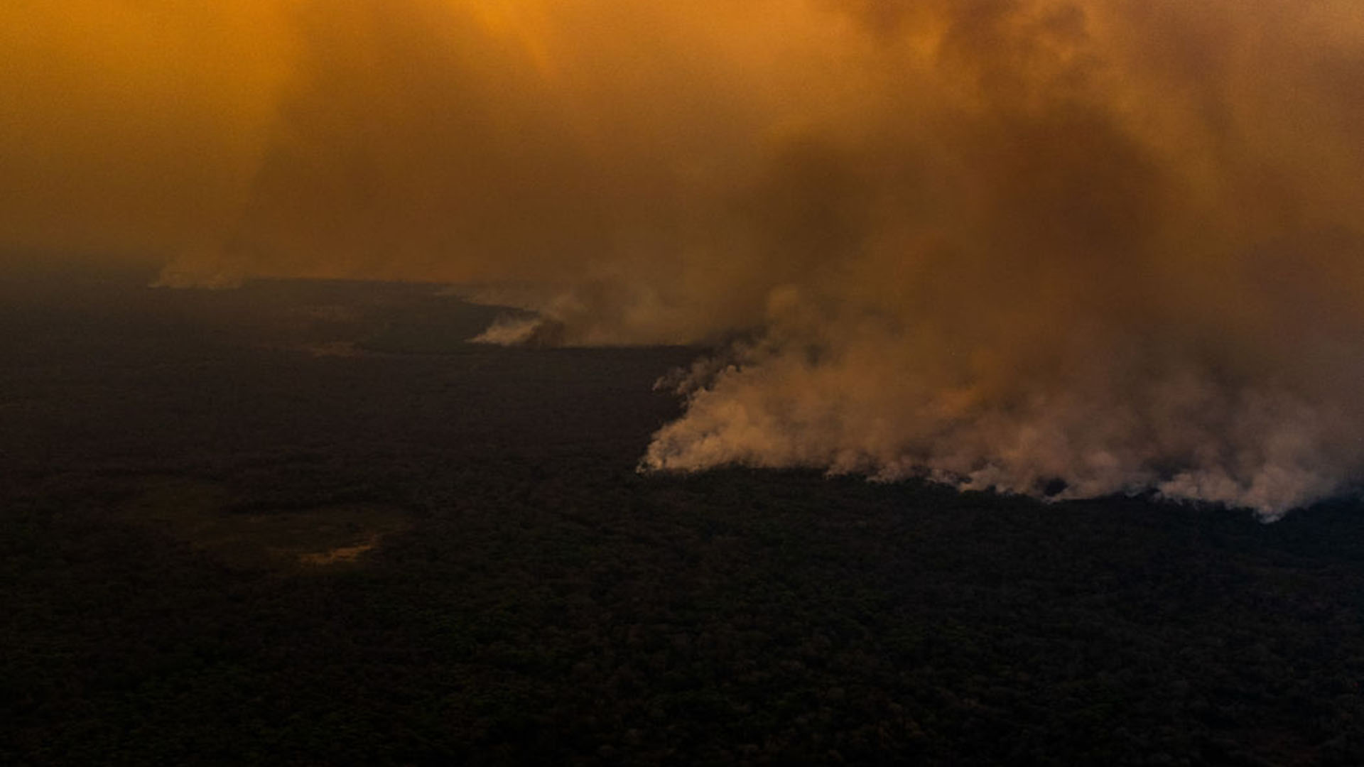 El fuego en Mato Grosso