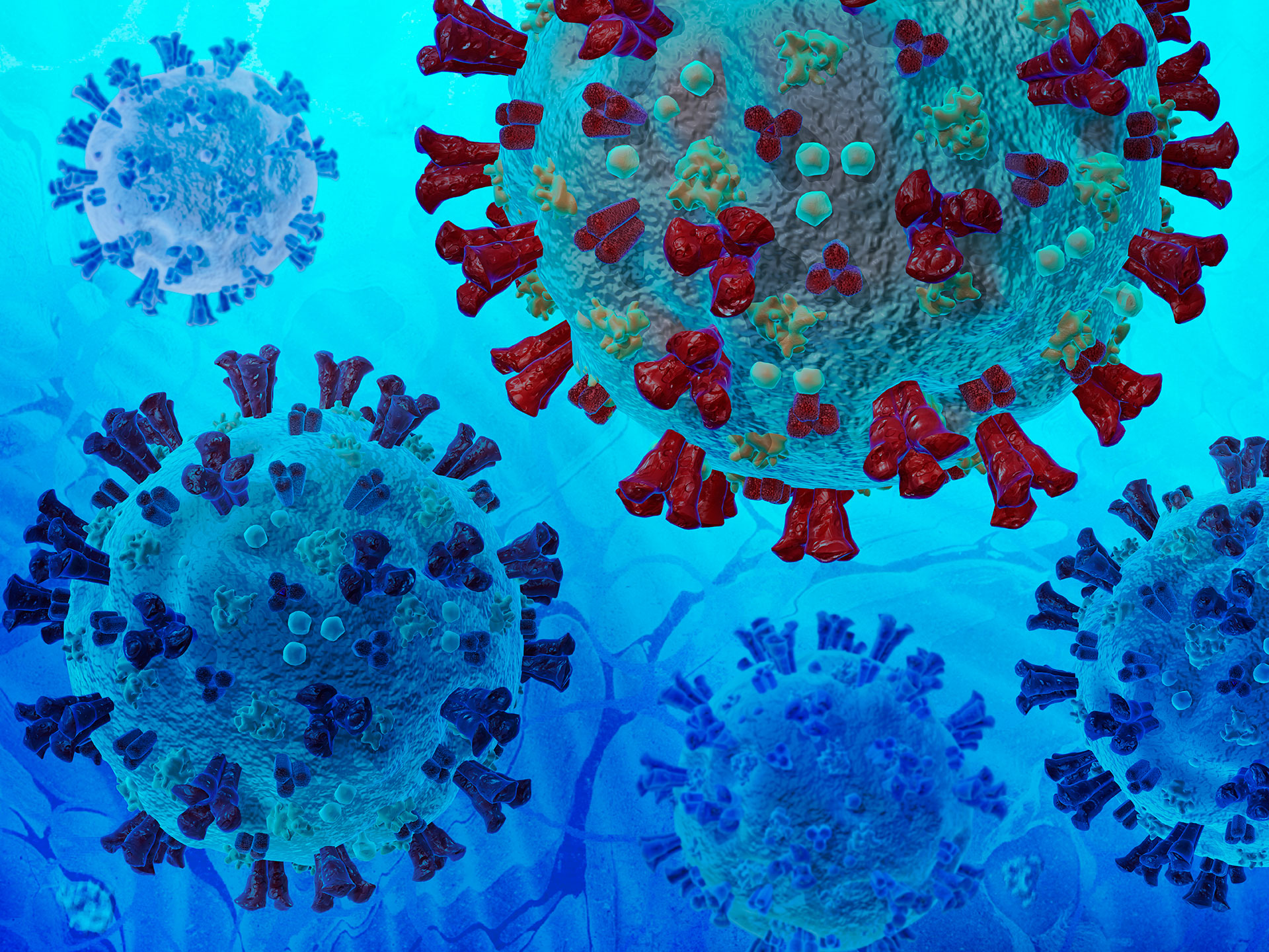 Laboratorios científicos del mundo reportan la vigilancia del genoma de las cepas circulantes del coronavirus en una base de datos global. La sudafricana es hoy una de las tres variantes de preocupación para la salud pública mundial, junto con la de Manaos y la de Inglaterra, de acuerdo con la Organización Mundial de la Salud. (Shutterstock)