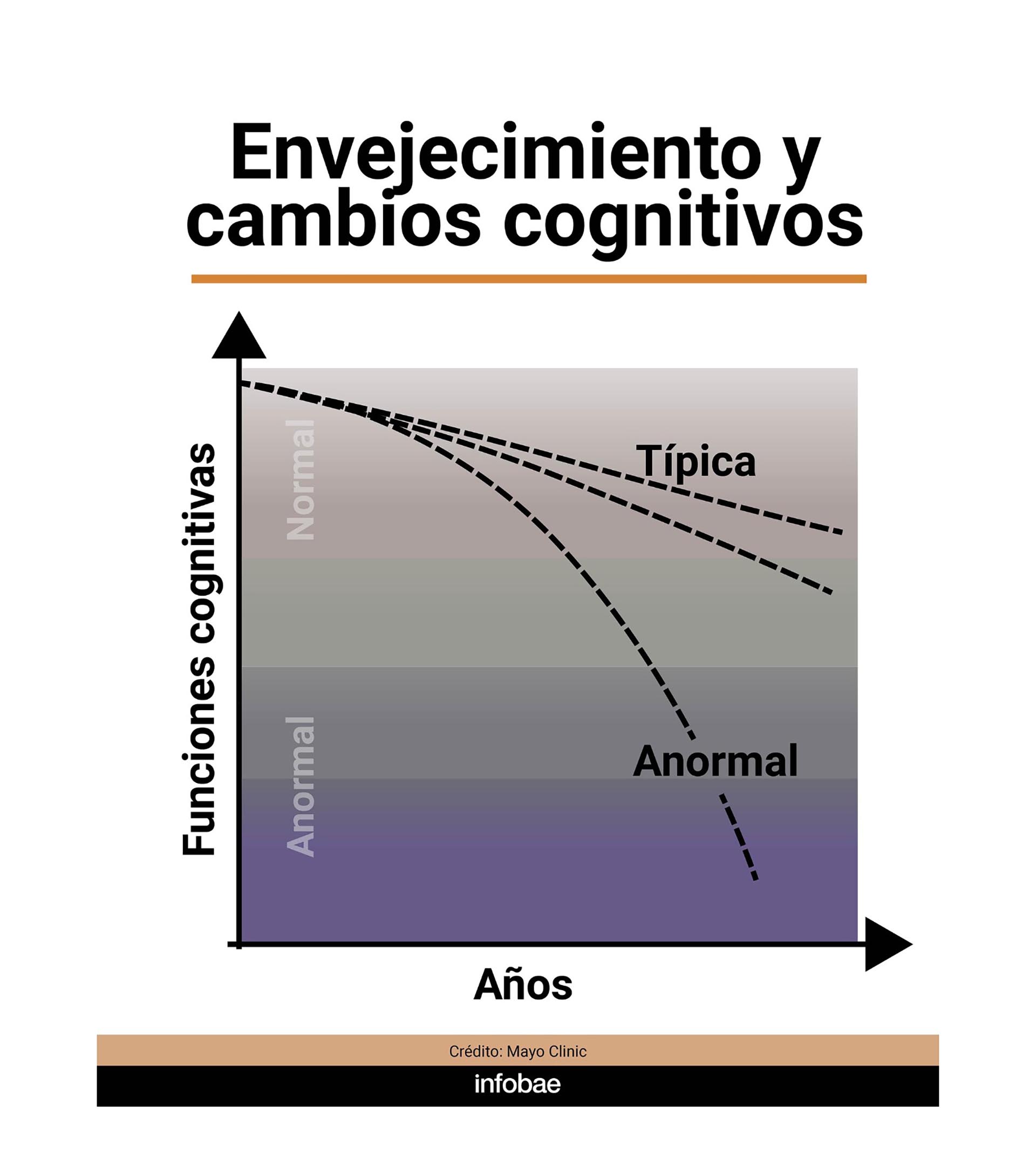 infografia