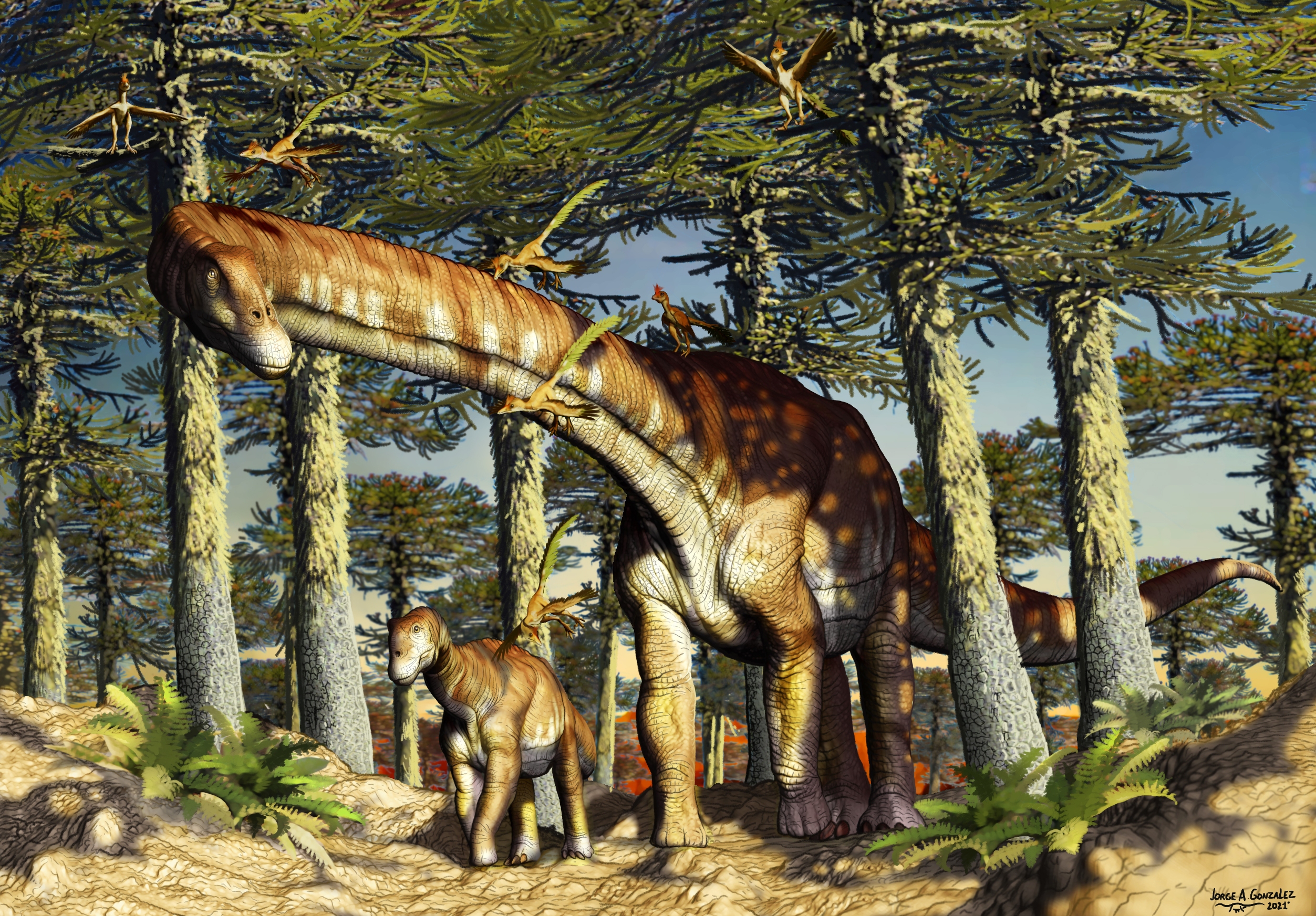 Dinosaurios de la Patagonia: cuáles son los tres hallazgos que cambian lo  que se sabía hasta hoy - Infobae