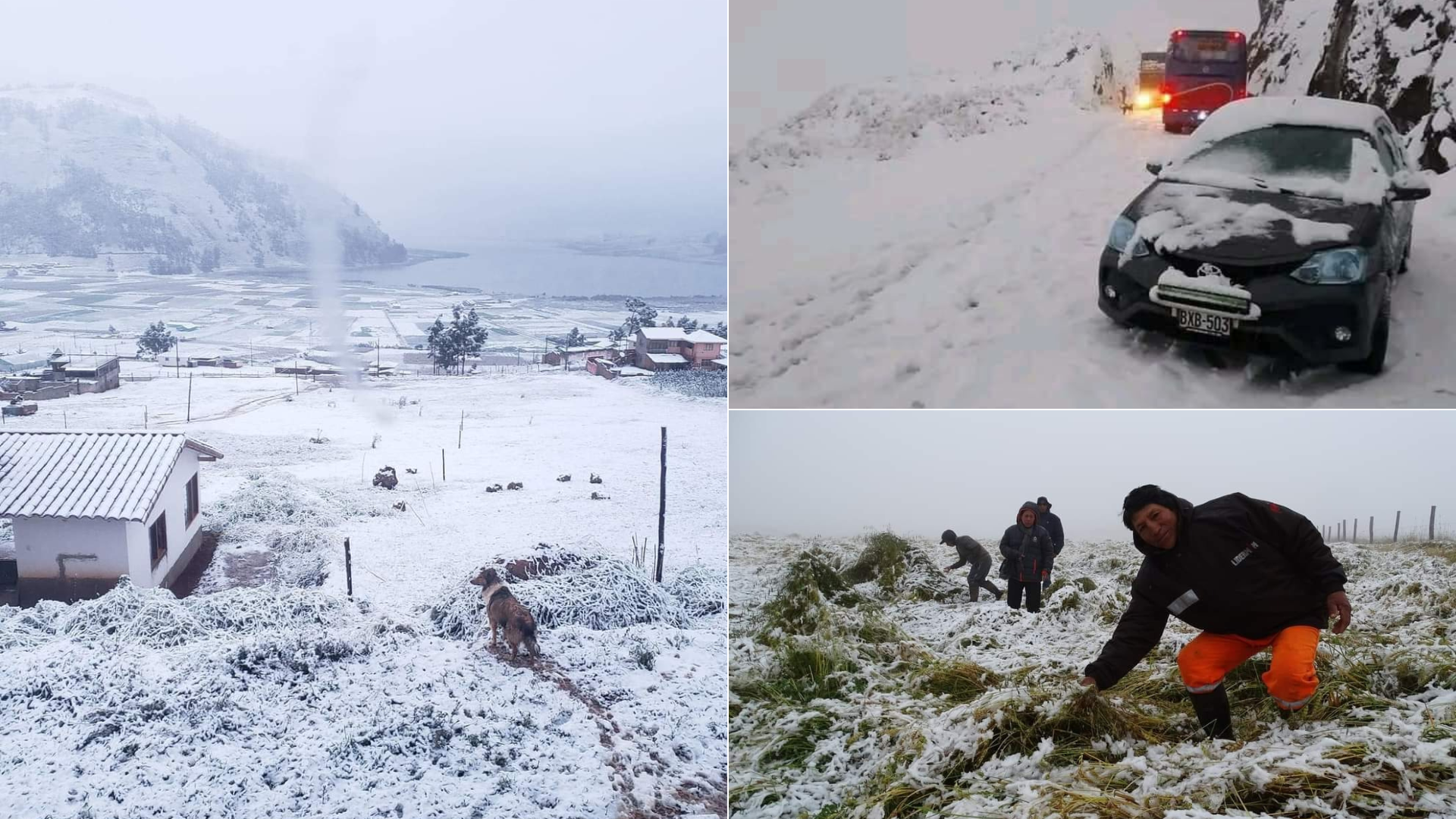 Cusco dawns covered in snow and with low temperatures after a strong storm that lasted for more than 12 hours