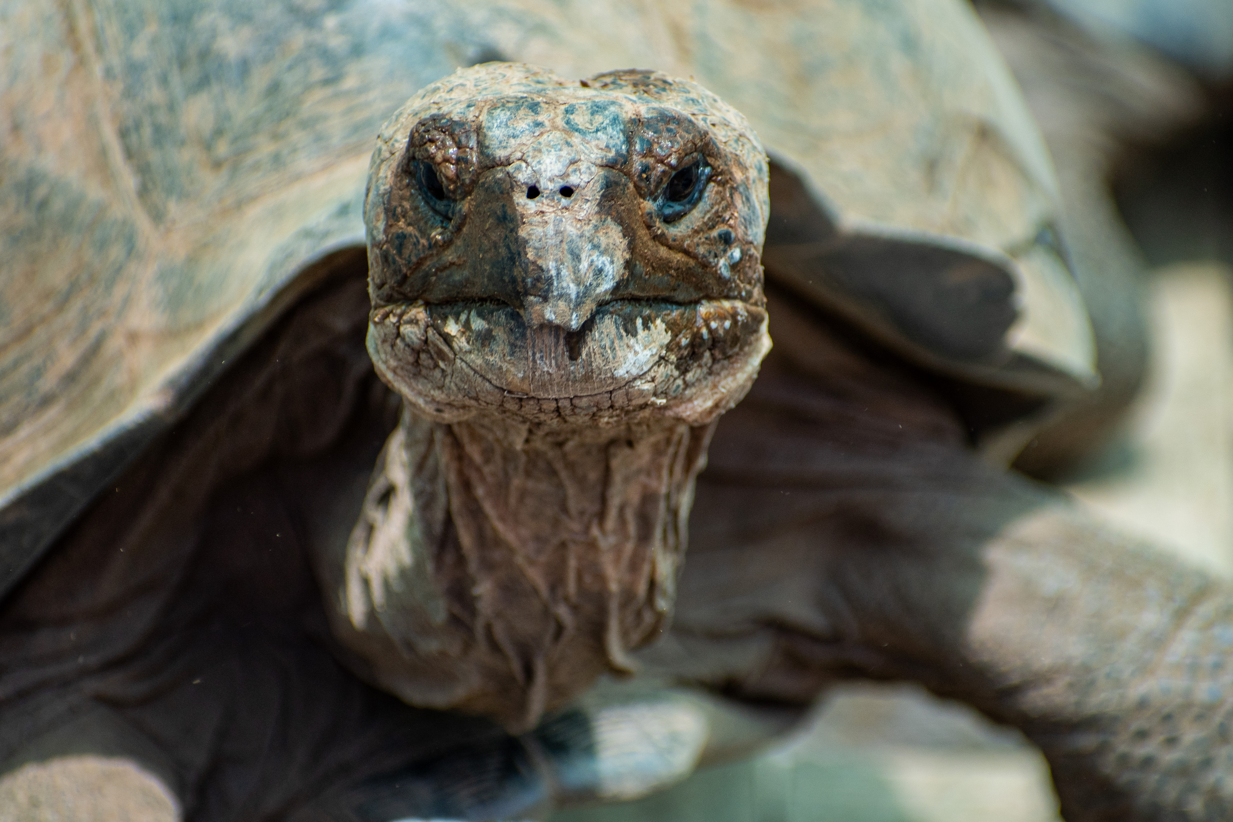 La moralización de la política