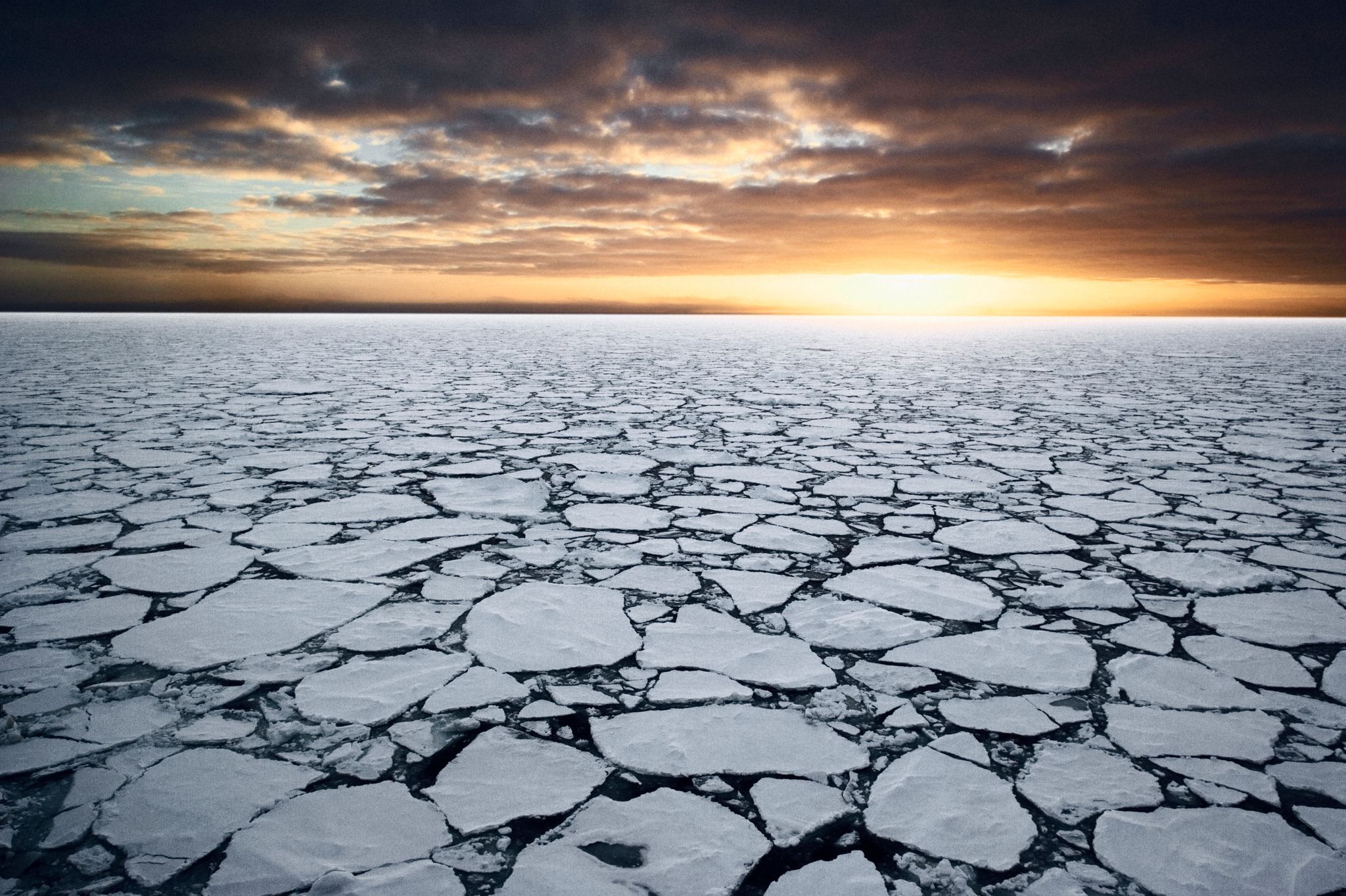 La capa de hielo de la Antártida se está derritiendo y no son buenas noticias para la humanidad 