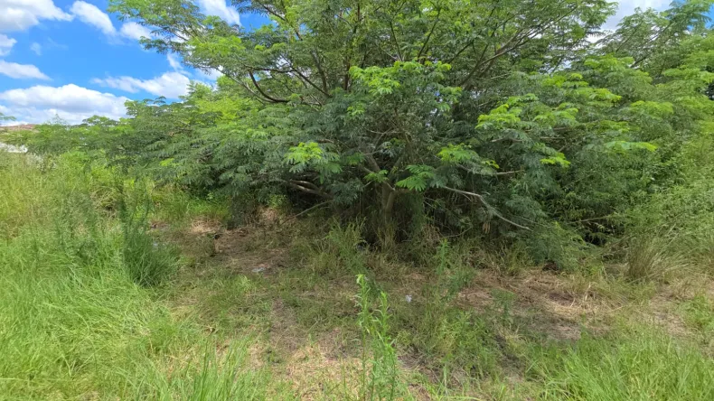 Salvador Di Stefano: “Por primera vez nos devuelven lo que es nuestro y hay menos gasto público y menos impuestos”