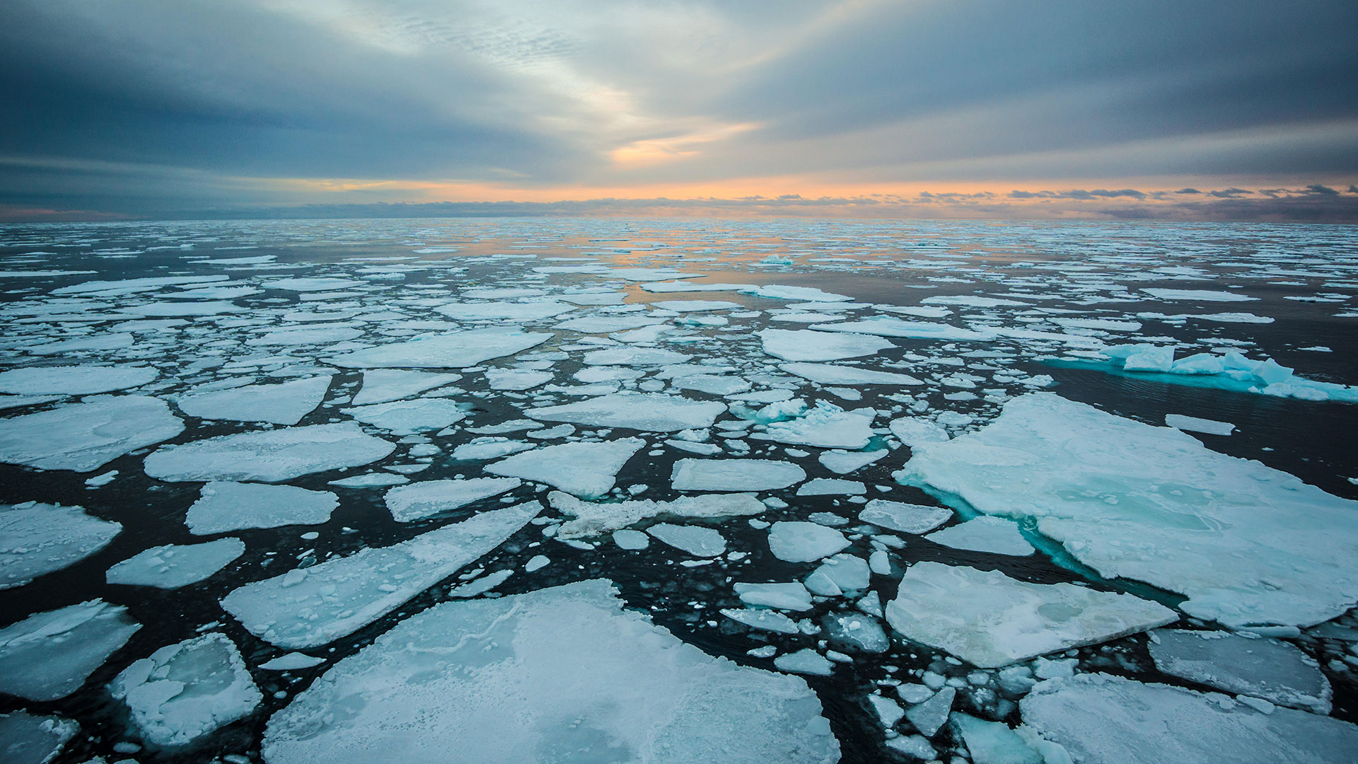 COP27: un informe advirtió sobre la acidificación de los océanos Ártico y Antártico por la crisis climática