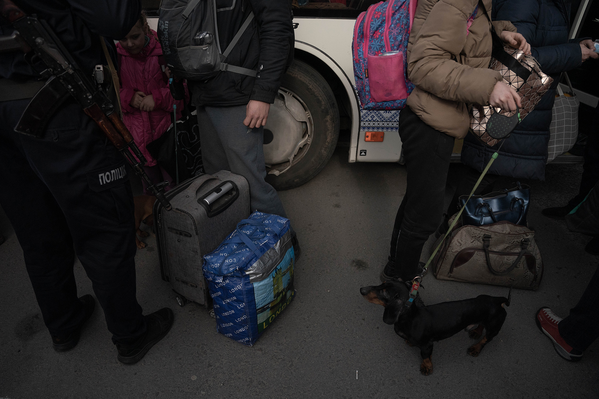 Con pocas pertenencias y sus mascotas, los civiles procedentes de Mariupol lograron escapar luego de vivir por mas de dos meses sitiados por el ejército de Putin.