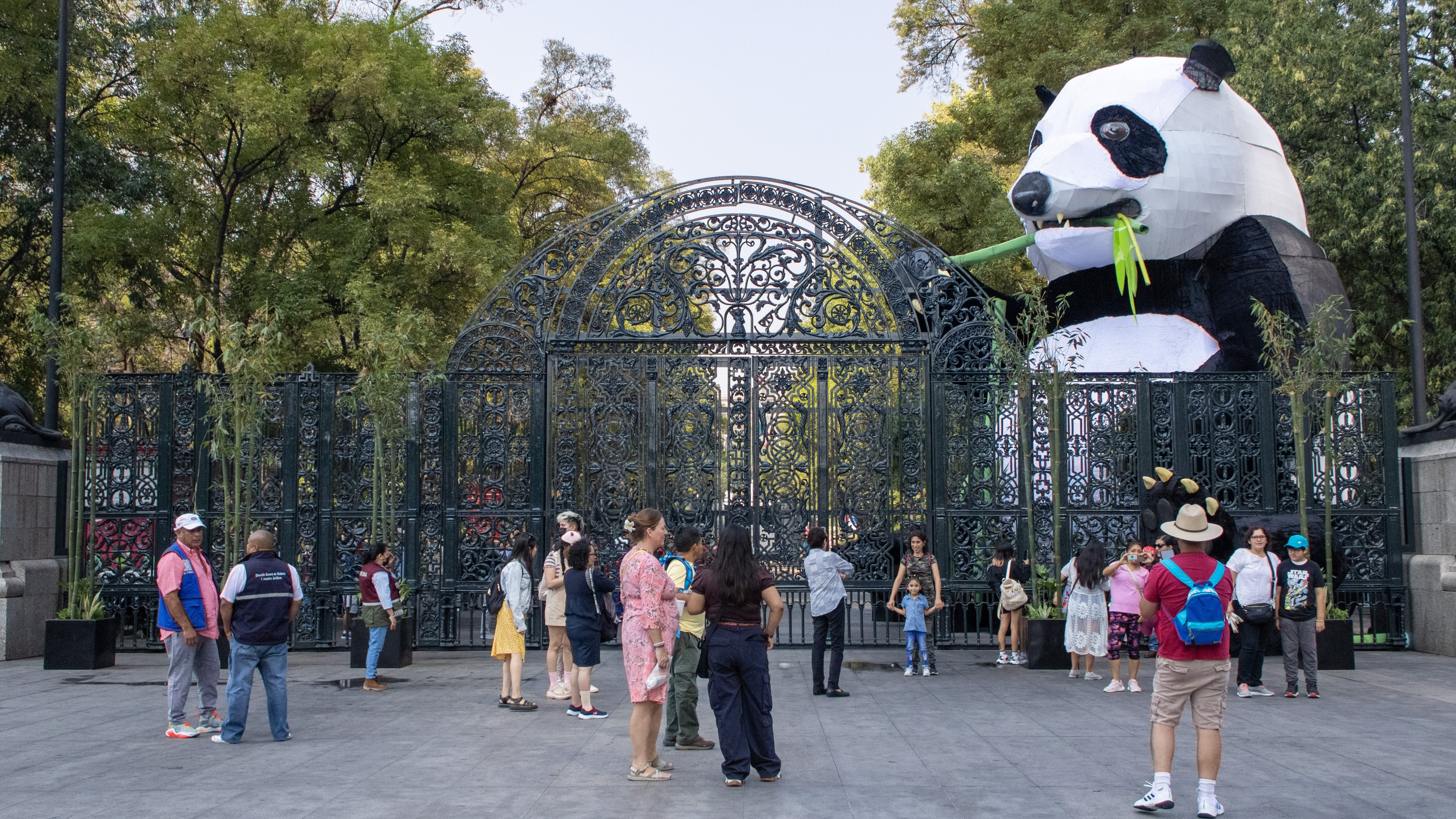 Bosque De Chapultepec - Infobae