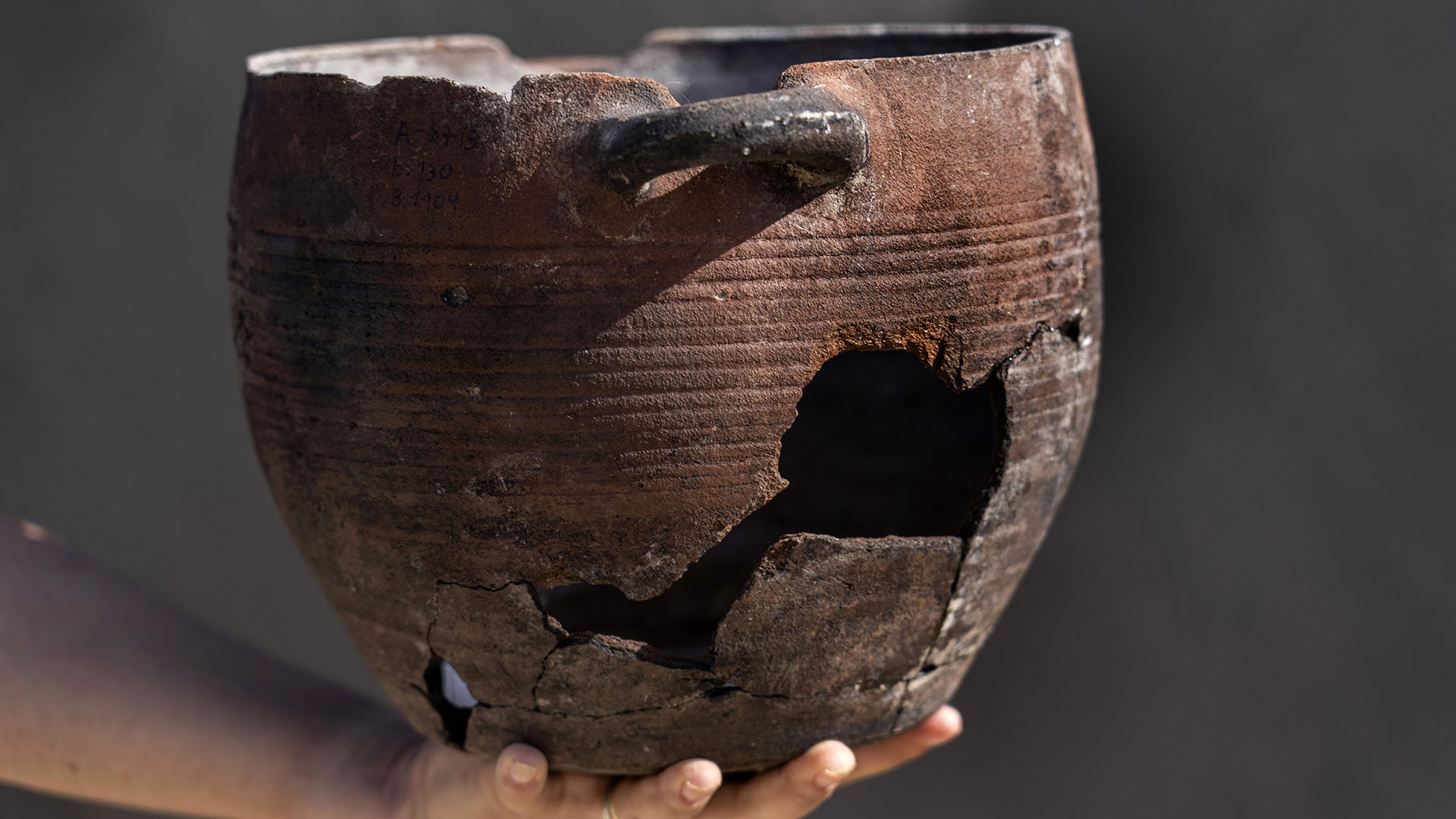 Imagen de una vasija. Los arqueólogos también encontraron fragmentos de platos de vidrio decorados (AP Photo/Tsafrir Abayov)