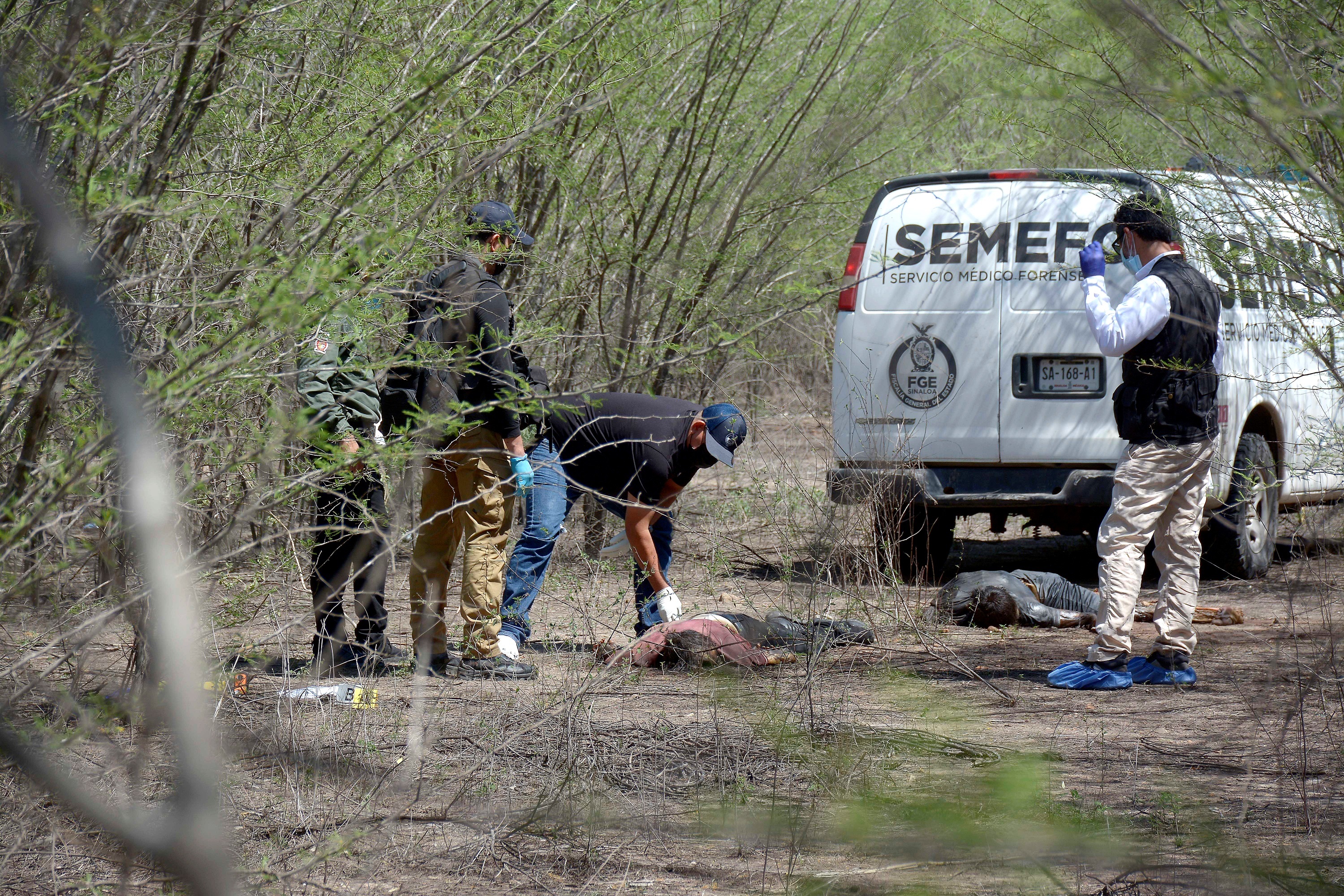 Forenses resguardan el área donde fueron localizados los cuerpos de dos personas ejecutadas en Culiacán (Foto: EFE/Juan Carlos Cruz)