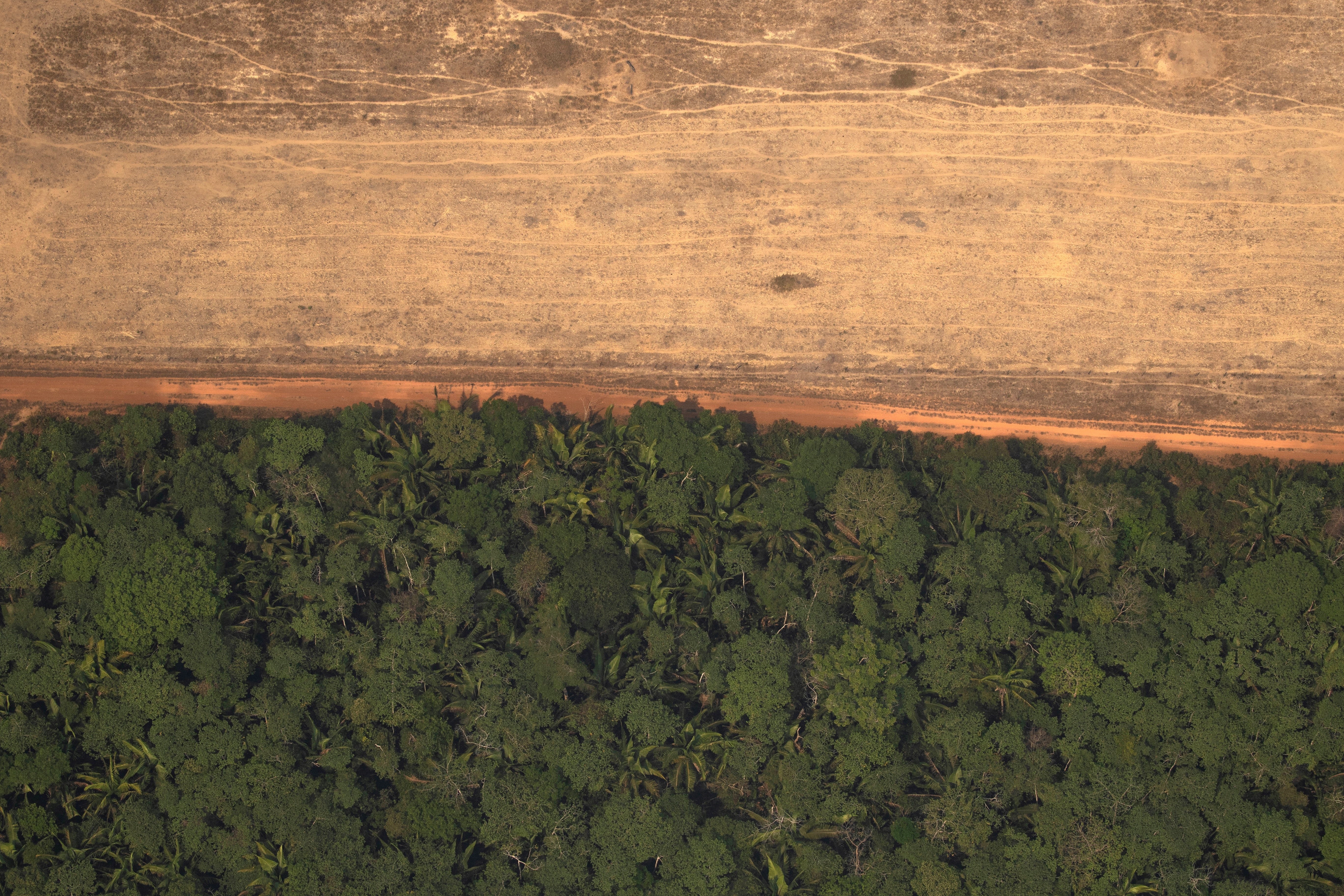 Brasil - Los humedales del Pantanal sufrieron un número récord de incendios en julio que continúan a lo largo de agosto, amenazando la notable biodiversidad de la región. La falta de lluvia y las altas temperaturas durante la primera mitad del año probablemente contribuyeron a los incendios