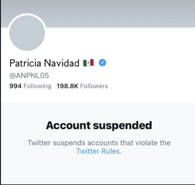 La cuenta de la actriz fue suspendida por Twitter (Captura de Pantalla: Twitter de Paty Navidad)