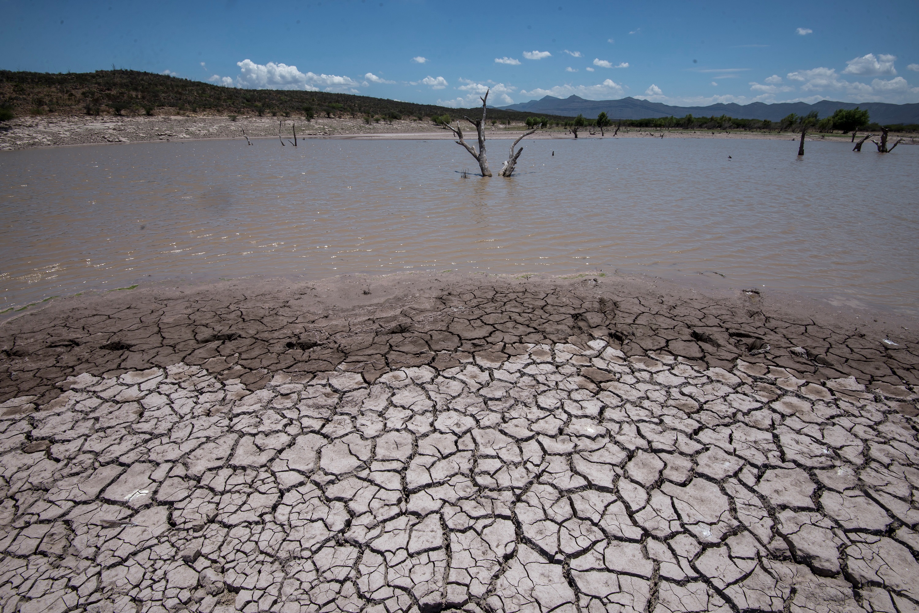 Durante los primeros días de febrero, el gobierno a cargo de Samuel García Sepúlveda, emitió una Declaratoria de Emergencia de Sequía. EFE/ Miguel Sierra/Archivo
