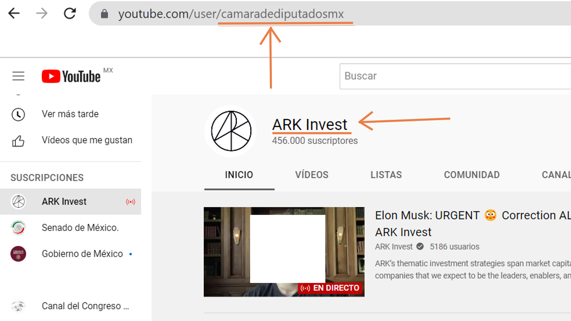 Desapareció el canal de YouTube de la Cámara de Diputados (Foto: Diputados)