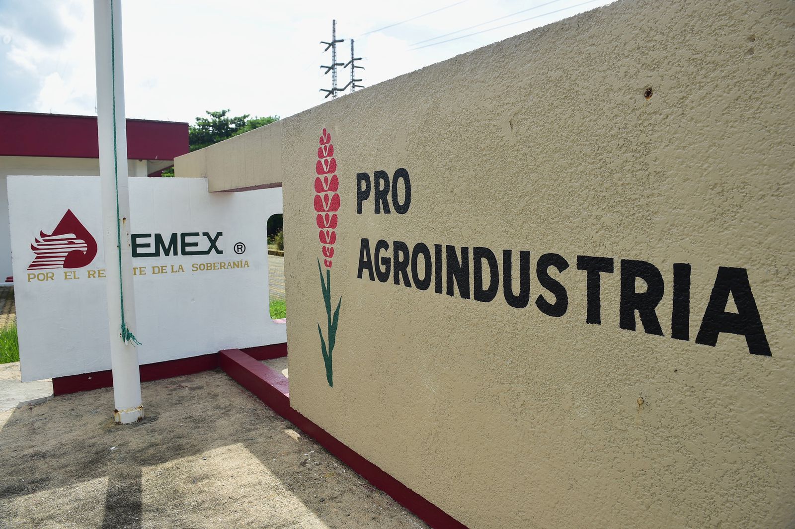 El gobierno de AMLO apoyará a la industria agrícola con más fertilizantes (Foto: Presidencia / Cortesía)
