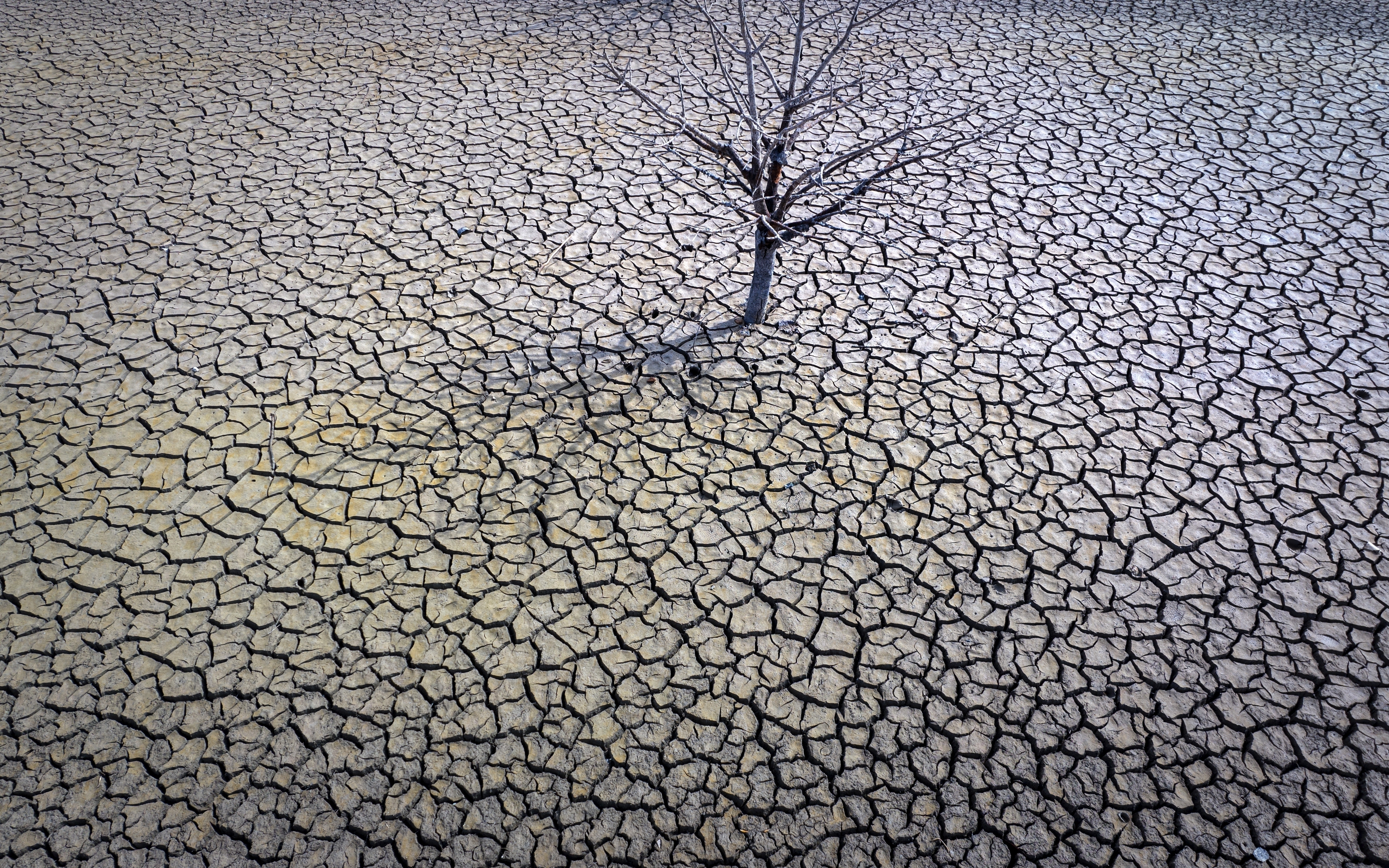 El lecho de la reserva de Sau, agrietado por la sequía, al norte de Barcelona, el 20 de marzo de 2023. (AP Foto/Emilio Morenatti)