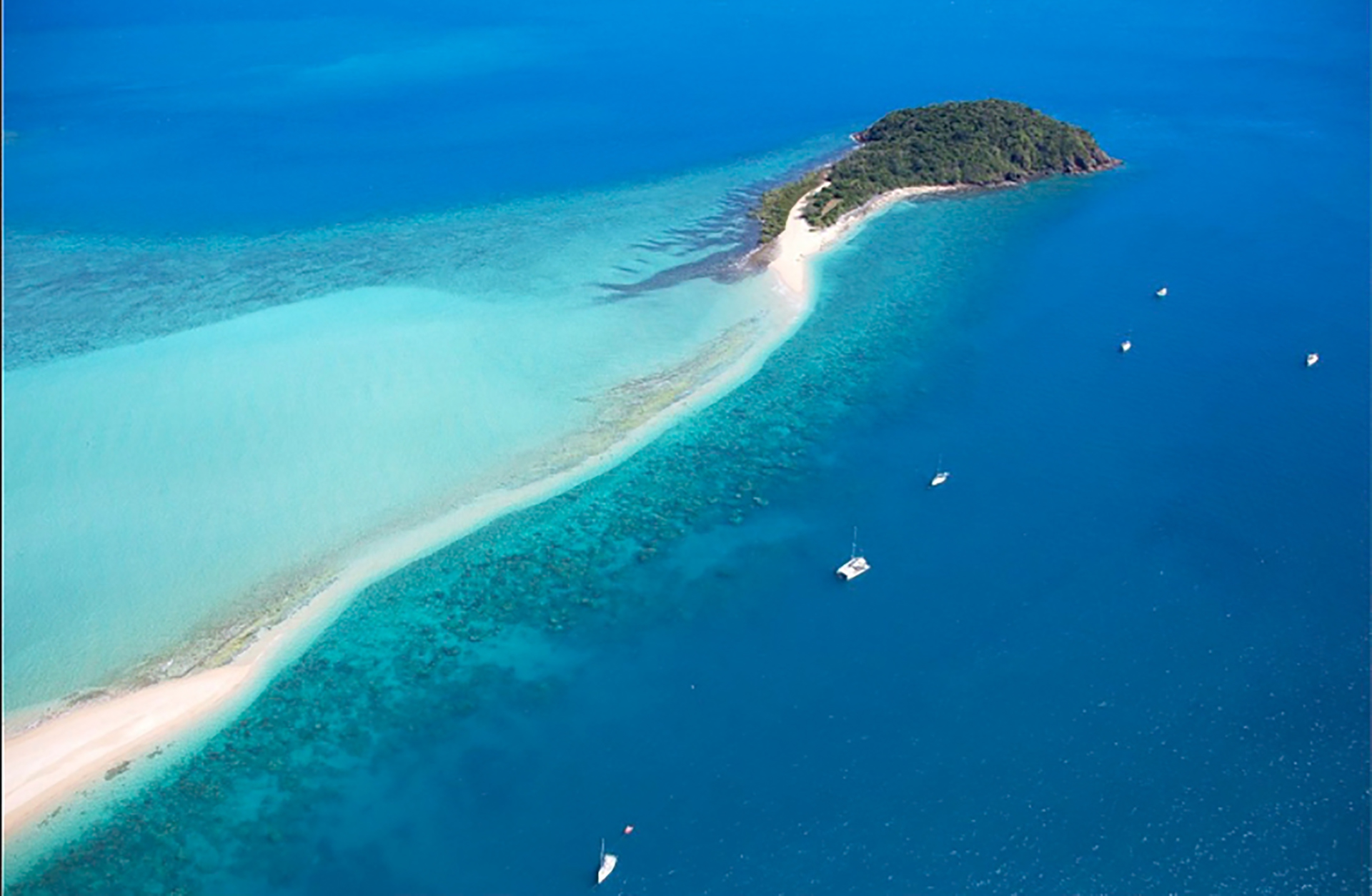 Hayman Island está ubicada dentro del Parque Marino de la Gran Barrera de Coral, en Australia (foto: oficina de Turismo Hayman Island)