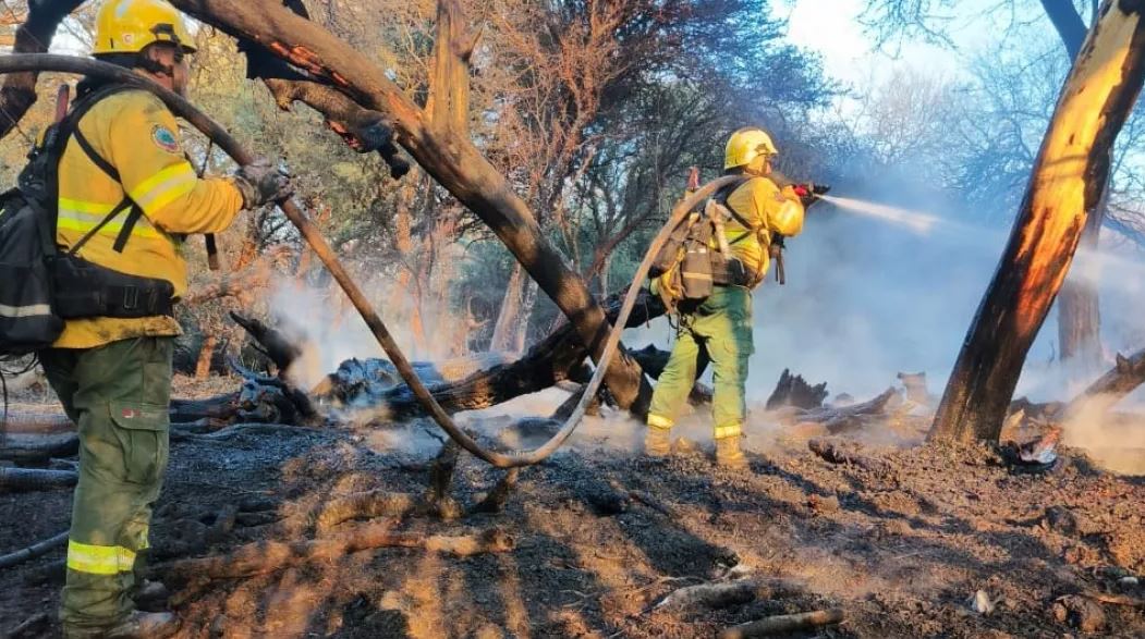 Bomberos de Salta luchan para contener una serie de incendios forestales en Cafayate