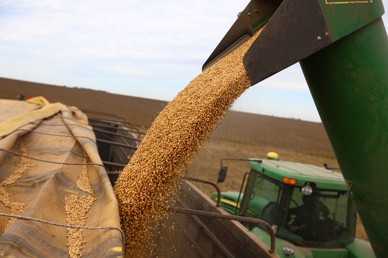 Las guerras internacionales impulsaron los precios del trigo y la soja a sus m&aacute;ximos de los &uacute;ltimos dos a&ntilde;os