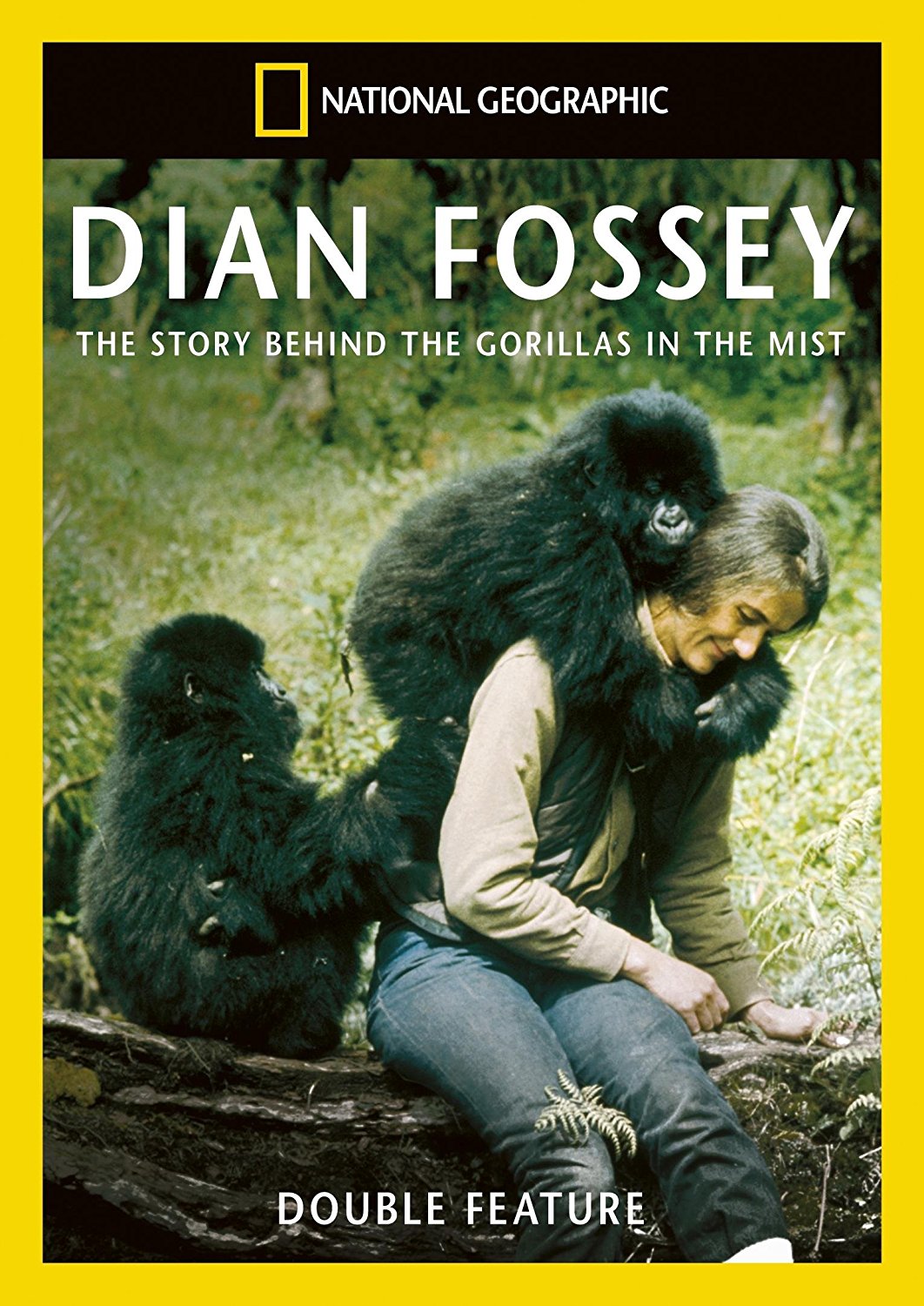 La portada de enero de 1970 de National Geographic, dedicada a Fossey, fue una de las más memorables de la revista