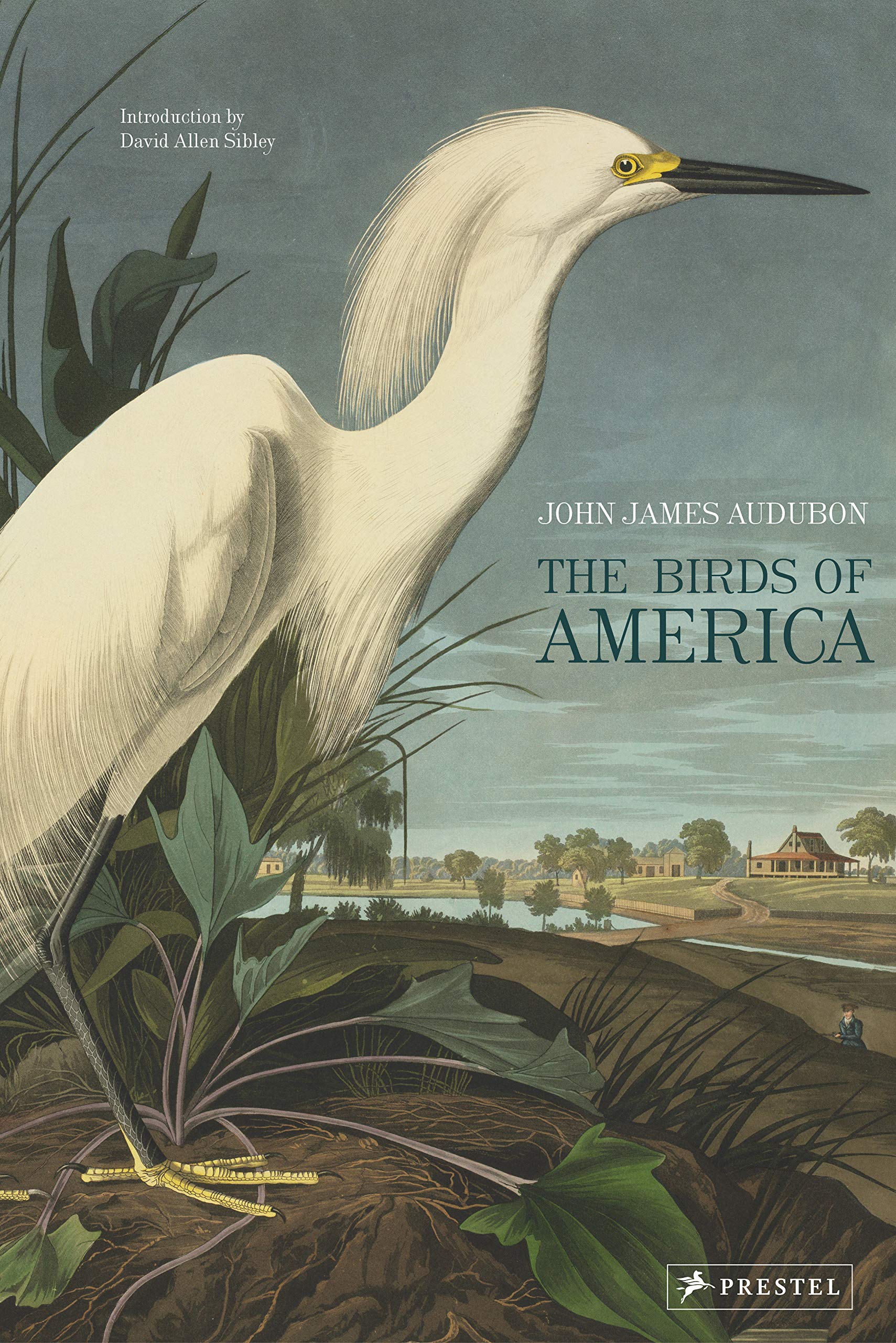 Portada del libro "Birds of America" (Editorial Prestel Publishing)