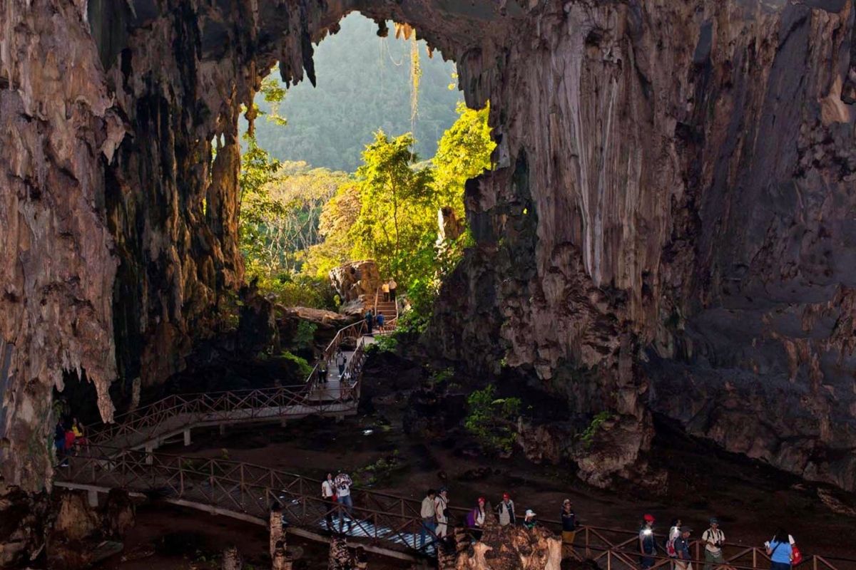 "Cueva de la lechuza" en el Parque Nacional Tingo María. (Foto: Captura)