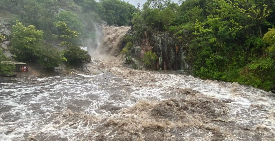Mejoraron las condiciones financieras en Argentina al cierre de 2025, según un informe privado: cuáles fueron los motivos