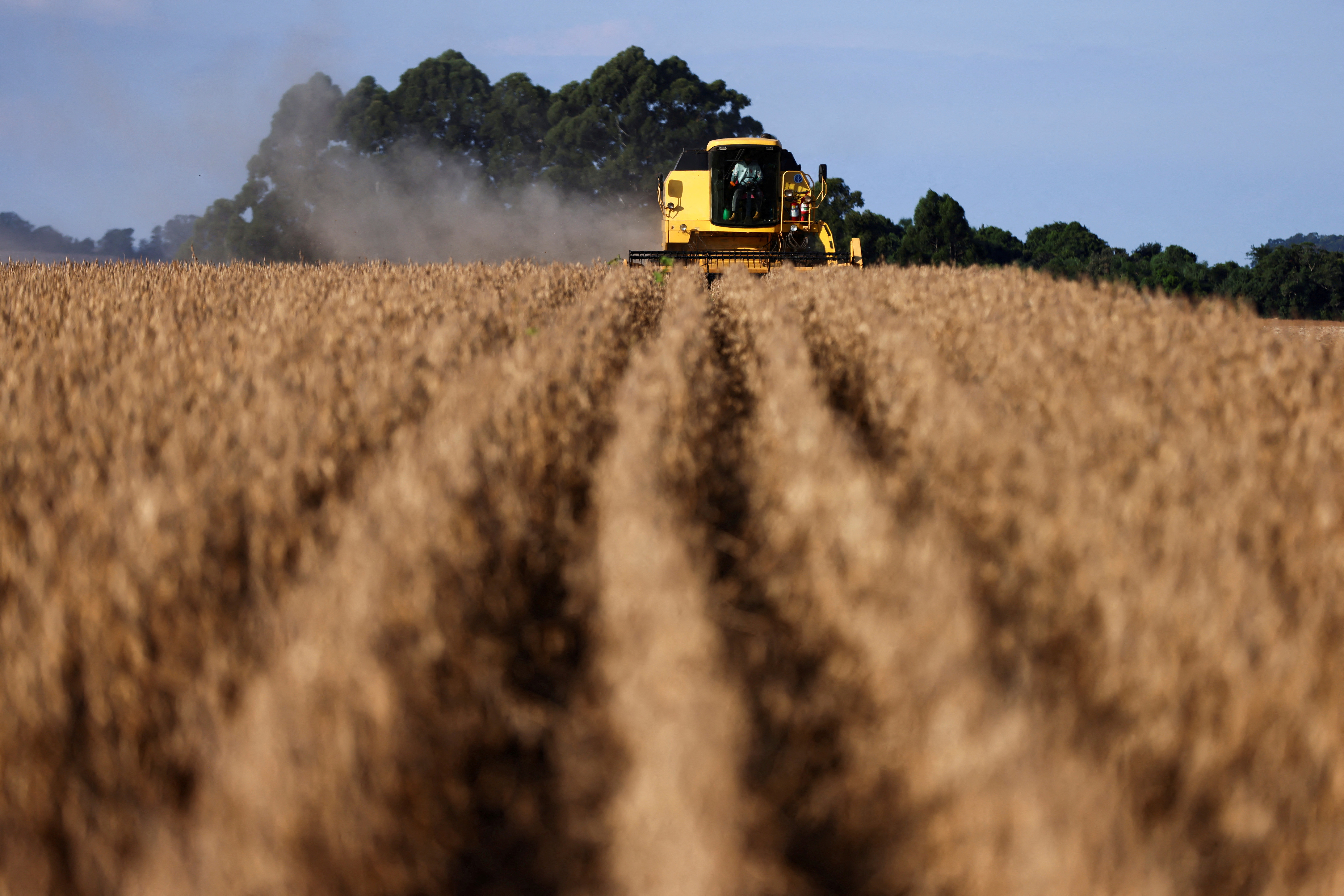Cambios en los radares de la Autopista del Oeste: cuál es la nueva velocidad máxima permitida