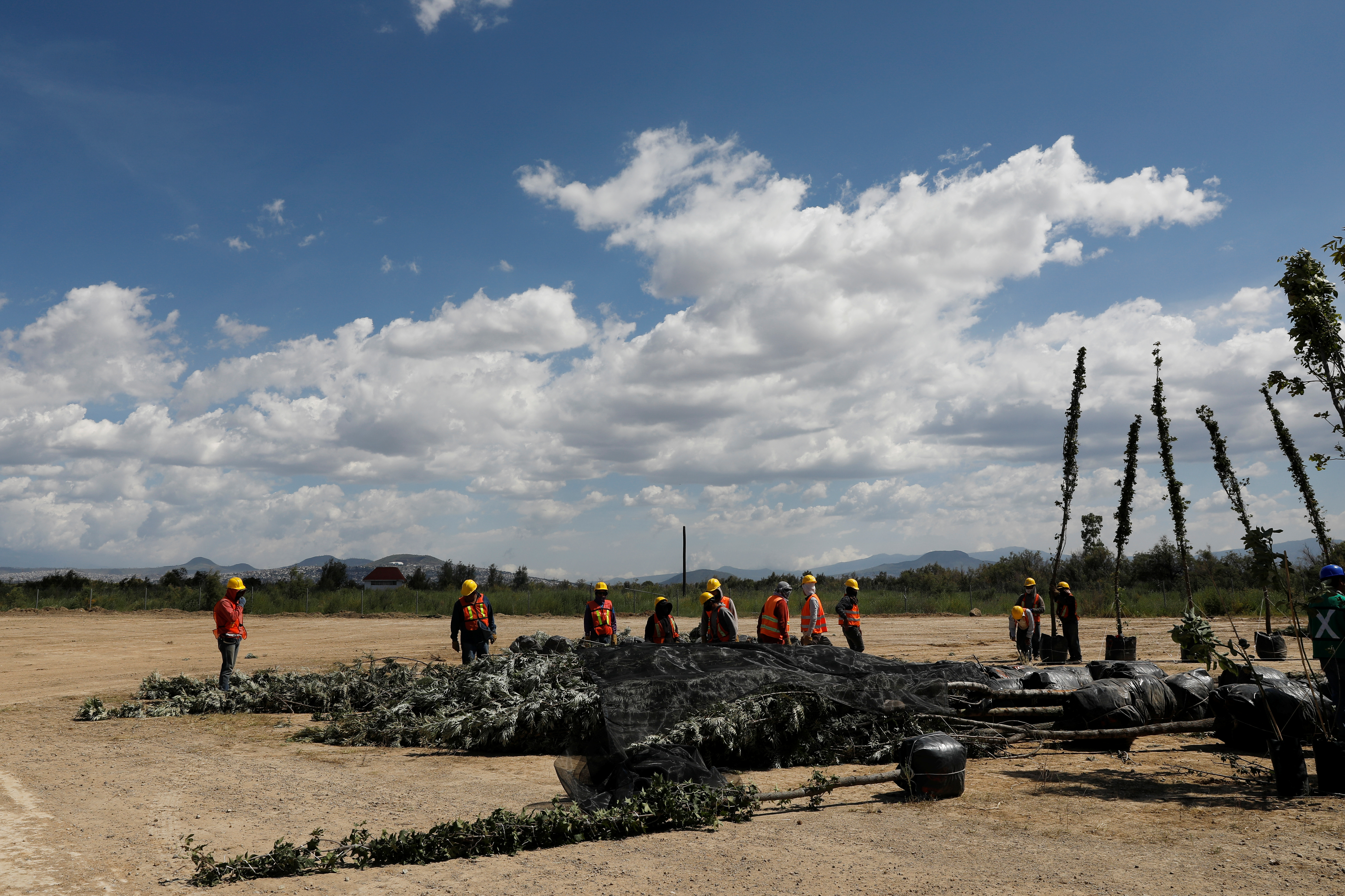 Trabajadores preparan plantas nativas en el centro de jardinería cerca de la zona cancelada del aeropuerto como parte de un proyecto para conservar 12,200 hectáreas de tierra en Texcoco en las afueras de la Ciudad de México, México, 3 de septiembre de 2020. Fotografía tomada el 3 de septiembre de 2020.