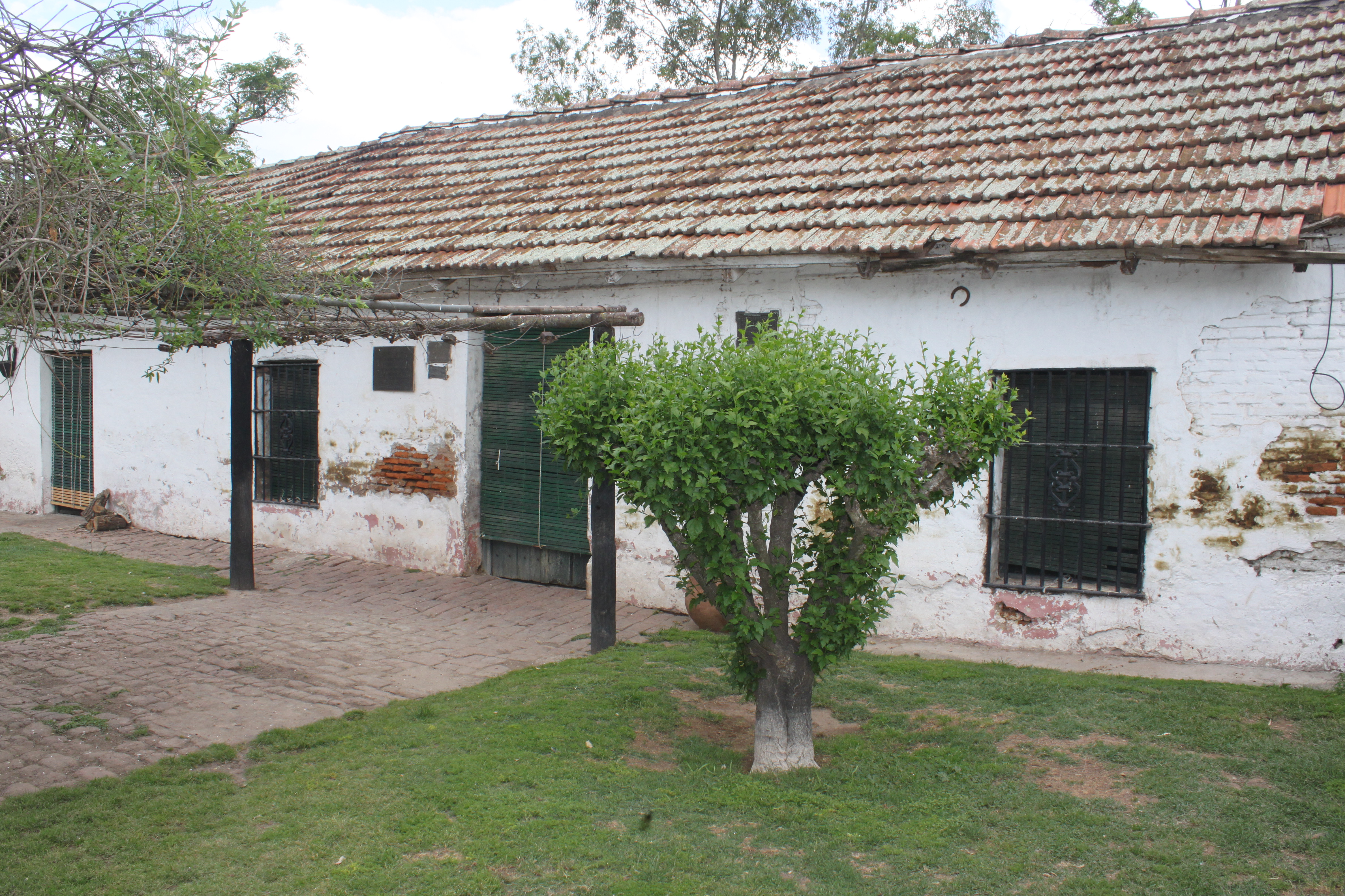 Javier Milei: “Argentina ya está en condiciones de tener acceso al mercado de capitales”