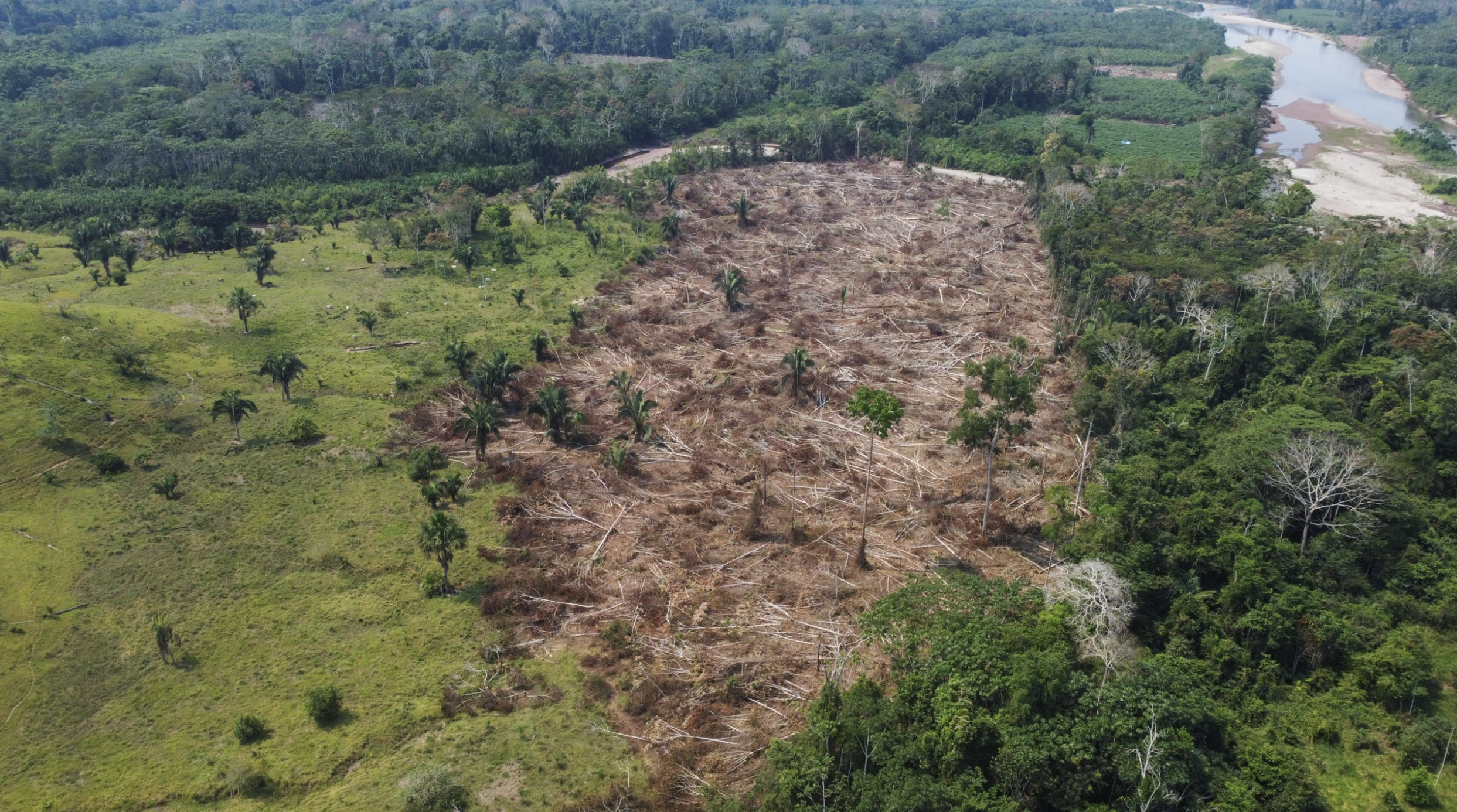 Reducción de tala en la Amazonía obedece a un acuerdo entre el Gobierno y los grupos armados que controlan la zona