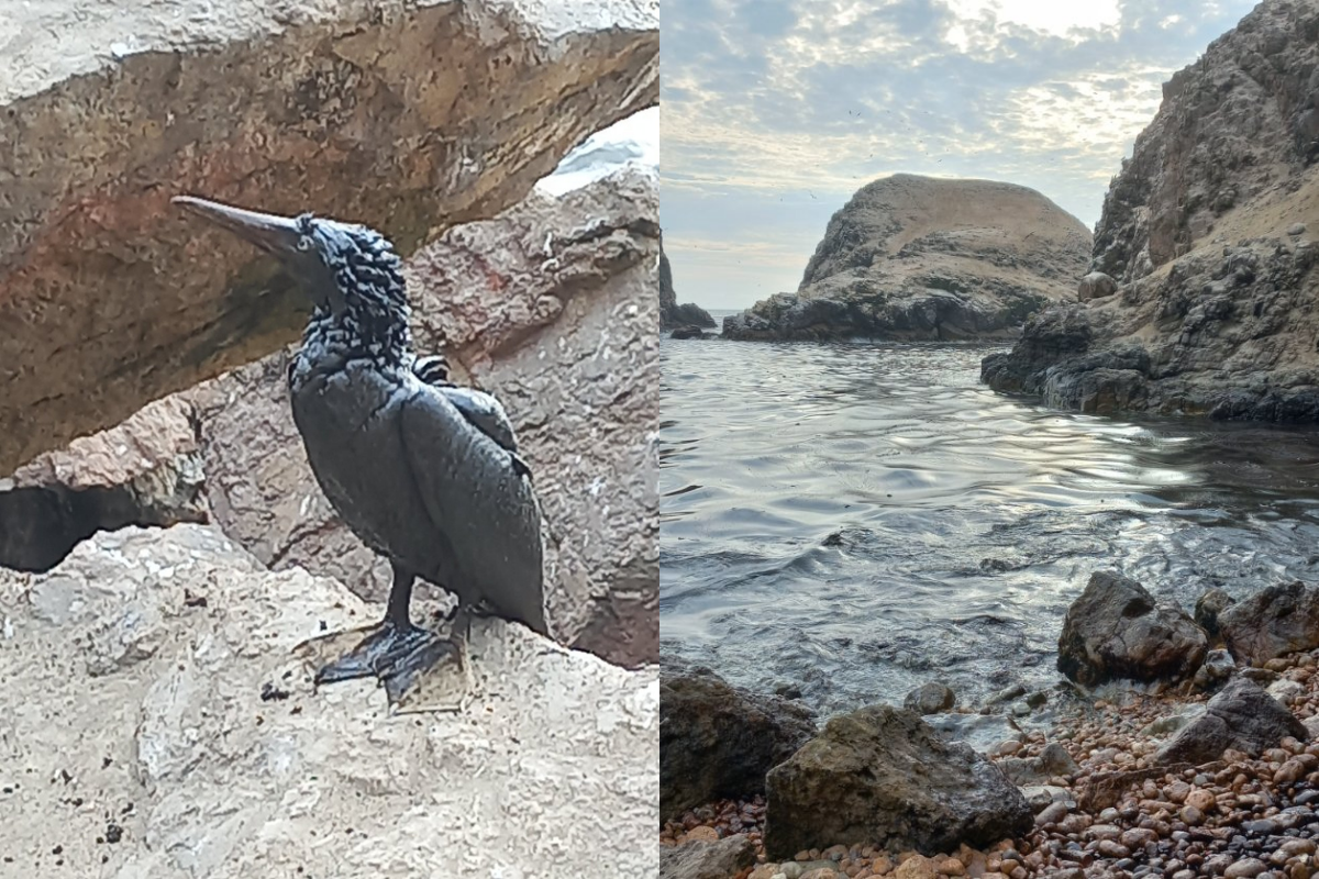 Ventanilla: OEFA supervisa derrame de petróleo registrado en playa Cavero