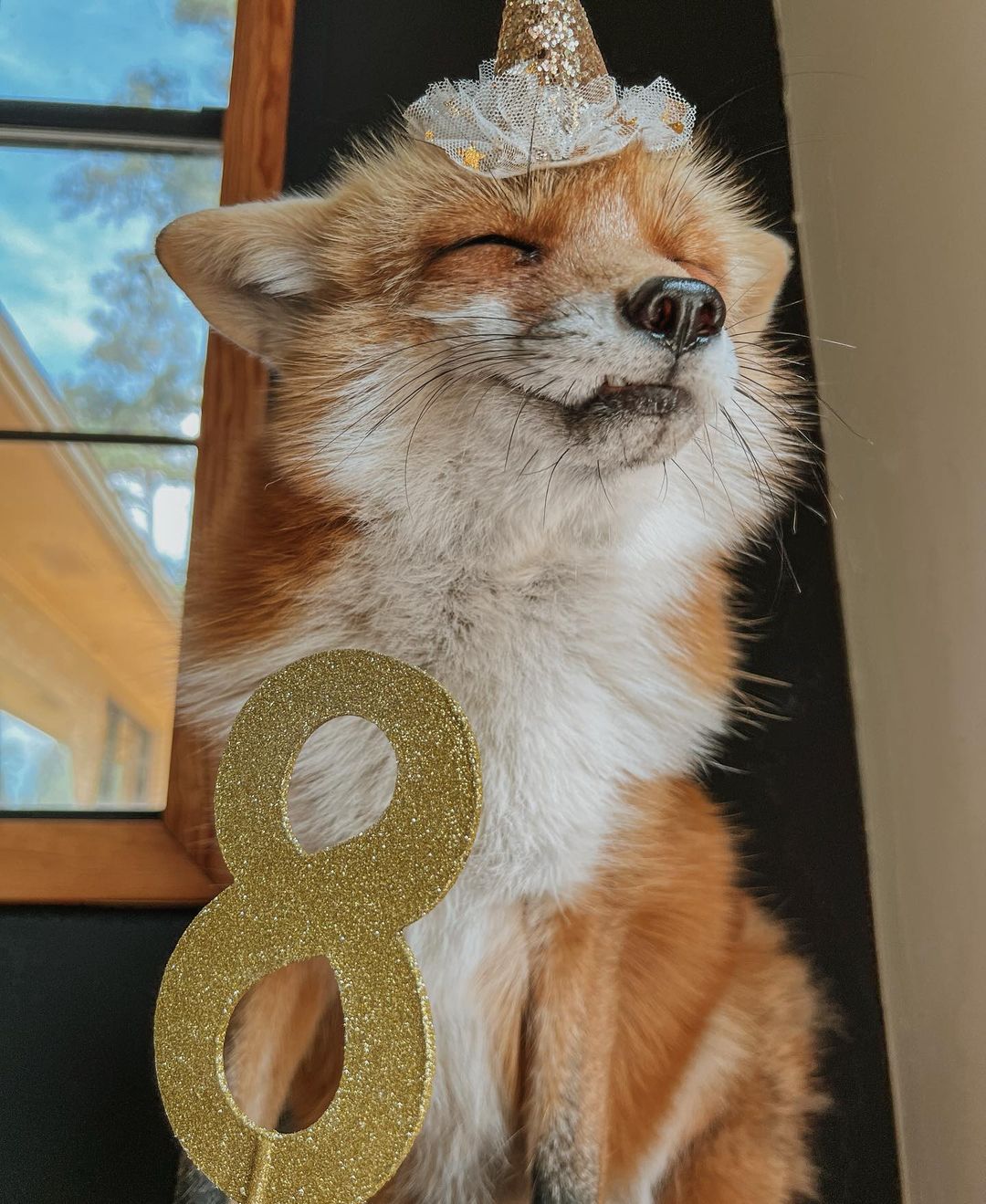 Juniper recently turned eight years old on Sunday April 2nd and was thrown a party with a signature cake (Instagram @juniperfoxx)