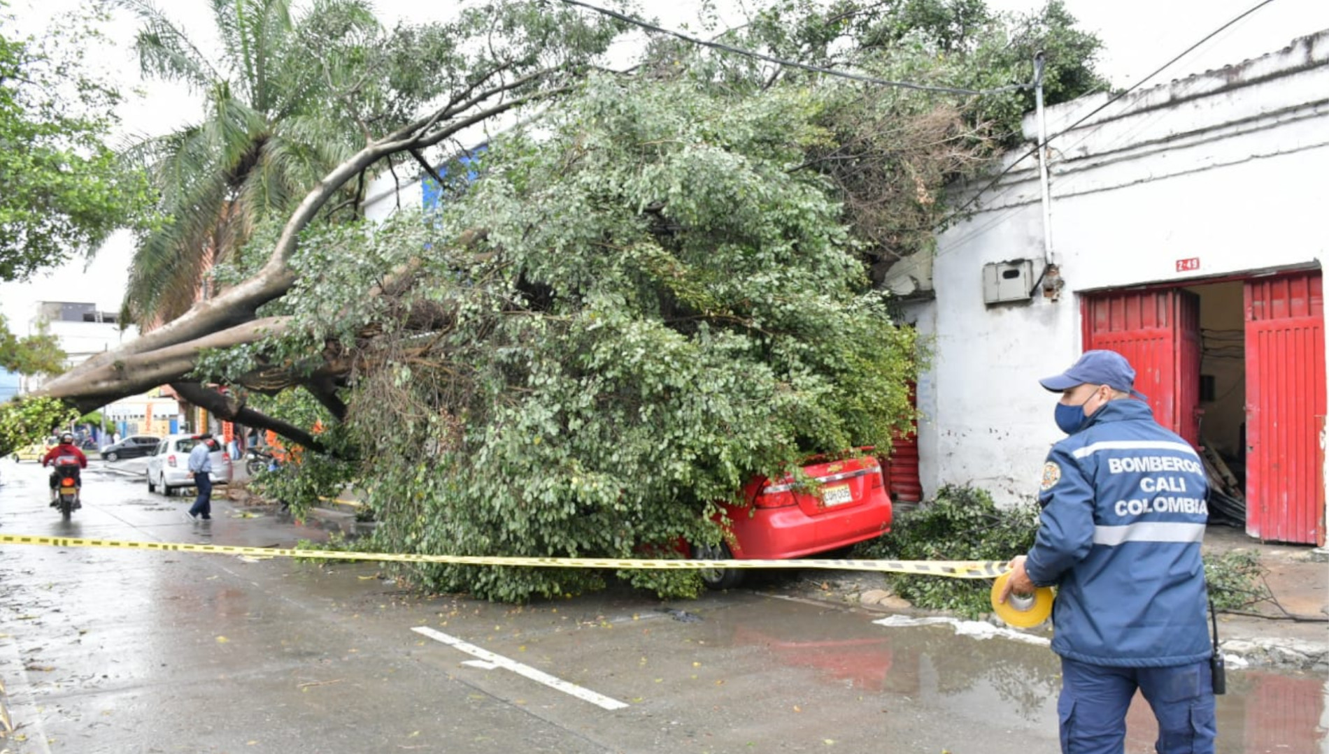 A una mujer en Cali le cayó un árbol encima por causa de las lluvias