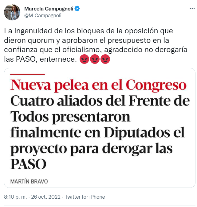 La diputada Campagnoli cuestionó el proyecto para eliminar las PASO (Twitter)