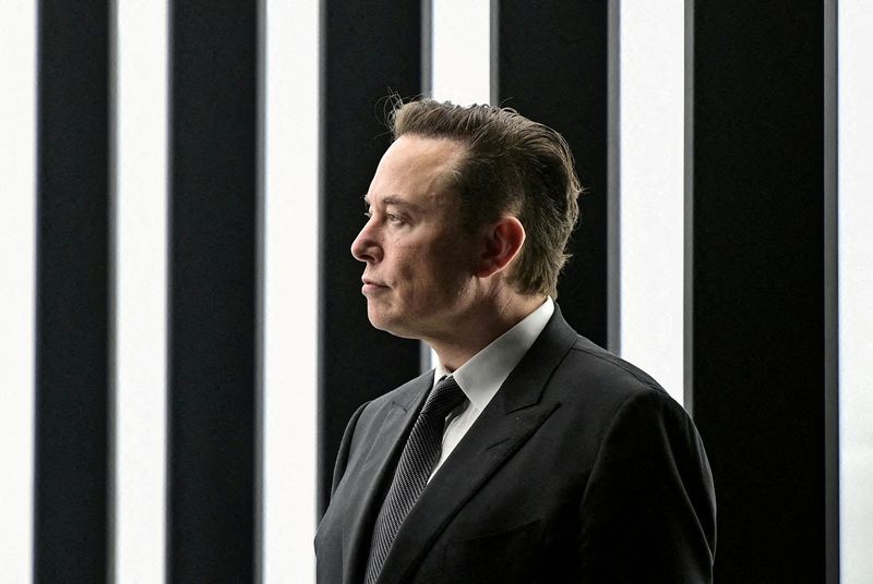 Elon Musk REUTERS/Patrick Pleul