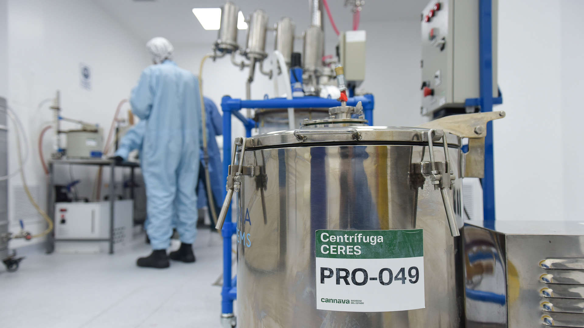 El laboratorio donde se procesan las flores secas para obtener el aceite de cannabis. (Gustavo Gavotti)