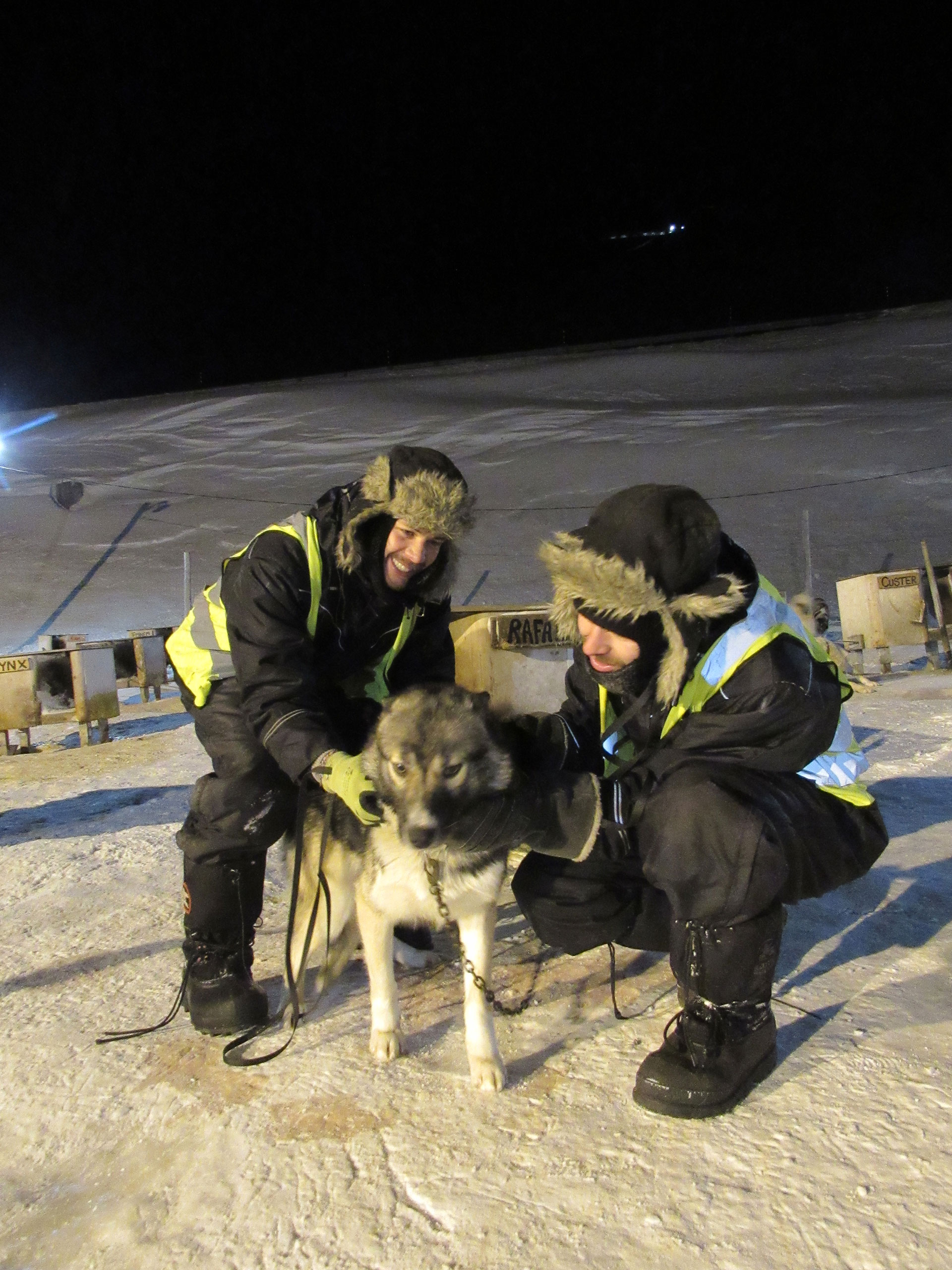 Los vagamundos en una excursión de trineos de perros en Svalbard