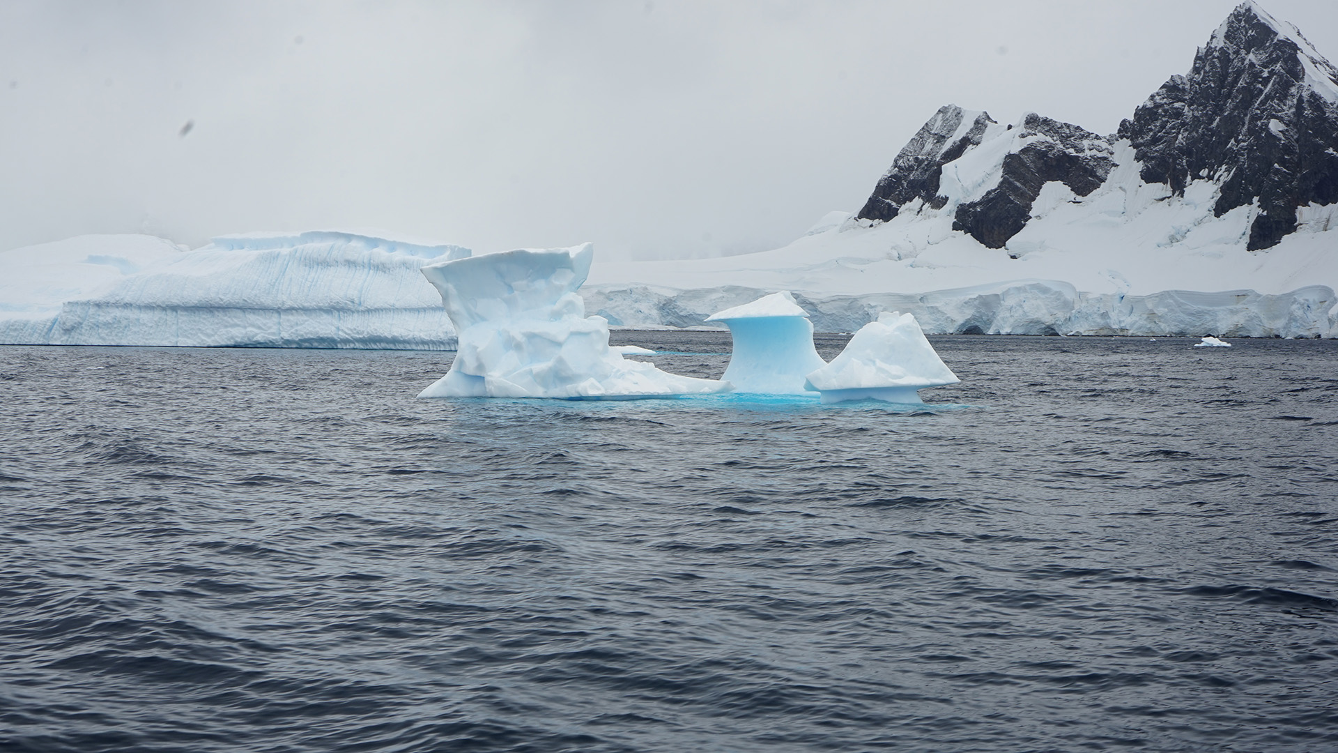 La propuesta es un viaje a la Antártida 