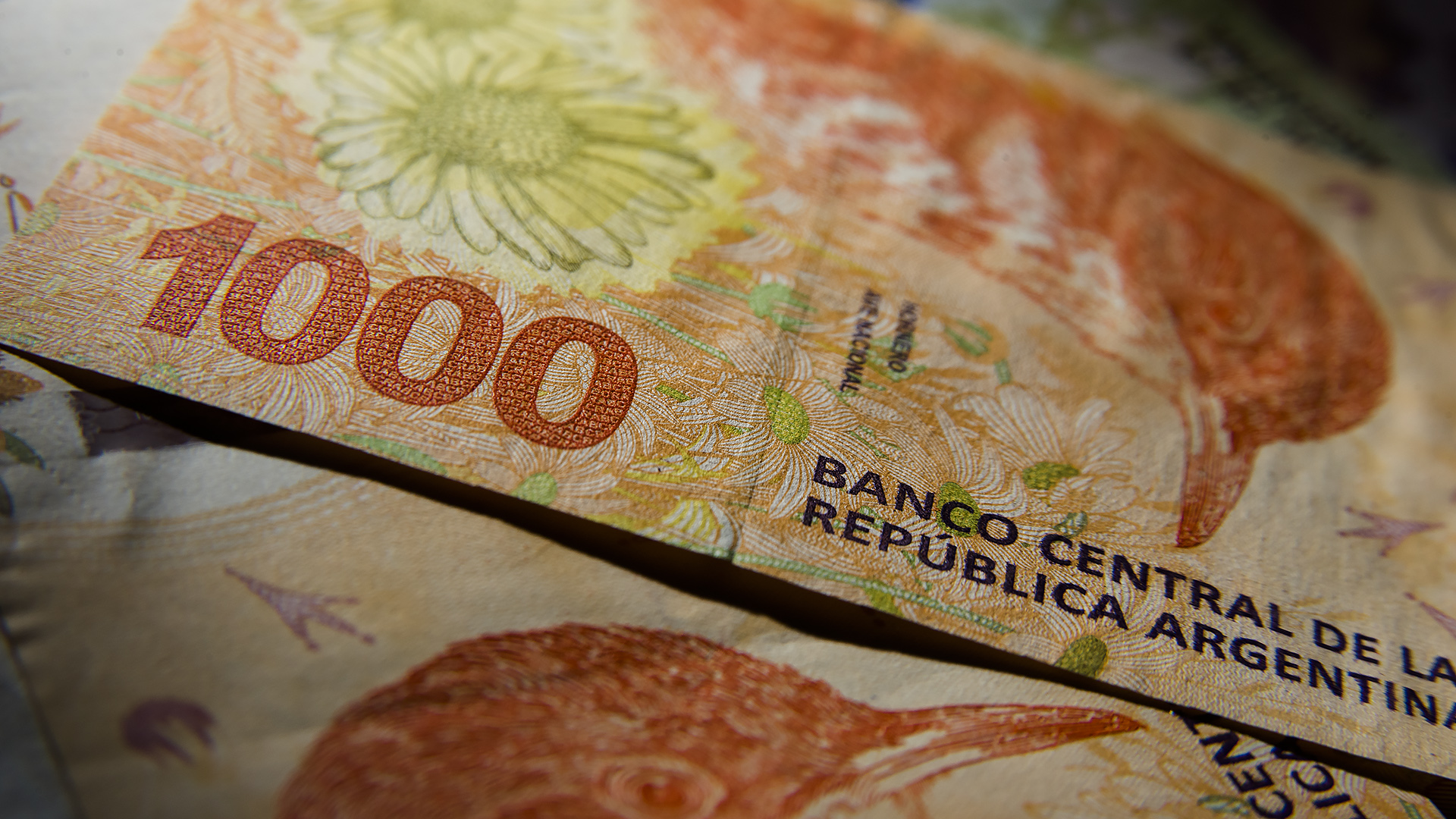 Billetes y más billetes: solamente en marzo los bancos entregaron 1.500 millones de pesos en efectivo