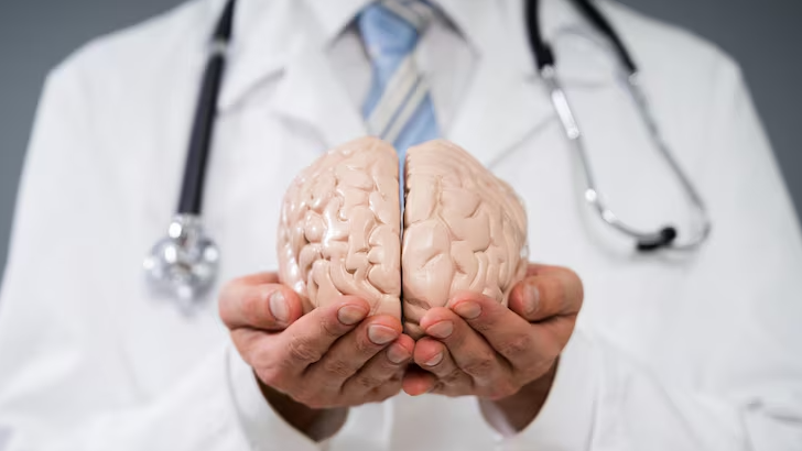 Avance contra el Alzheimer: prueban con &eacute;xito una inmunoterapia que fren&oacute; y revirti&oacute; la enfermedad en ratones