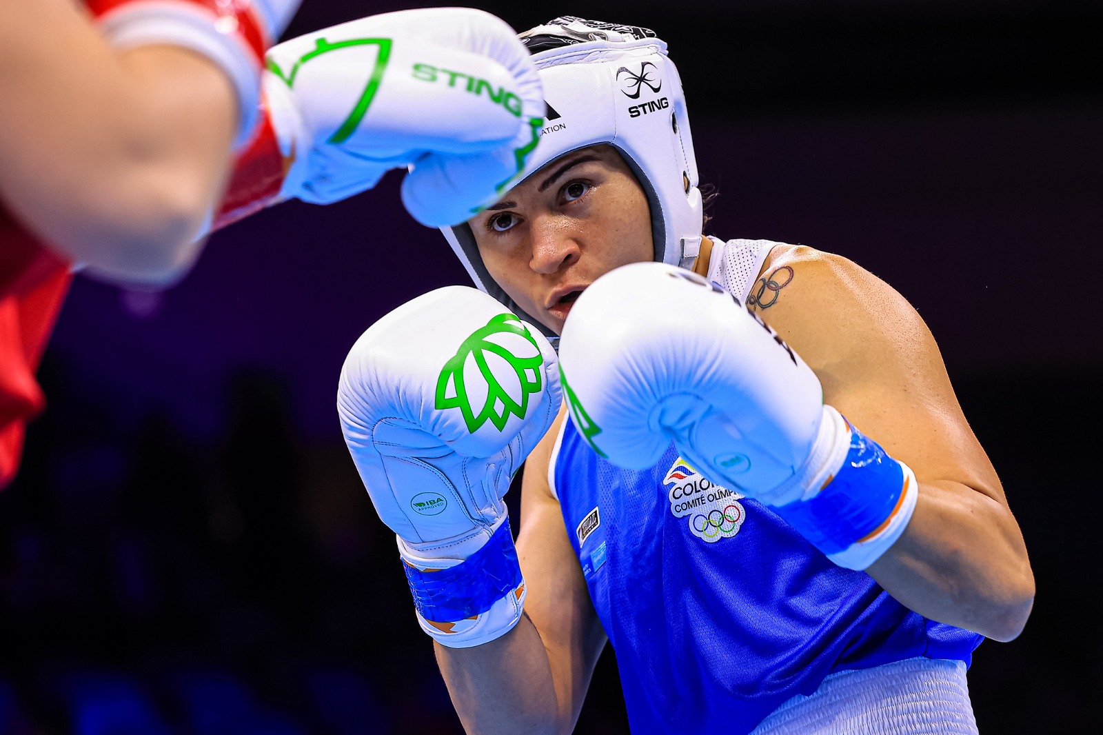 Yeni Arias, nacida en Roldanillo, Valle del Cauca, peleará por primera vez por el oro en un Mundial Femenino de Boxeo.

(MinDeporte)