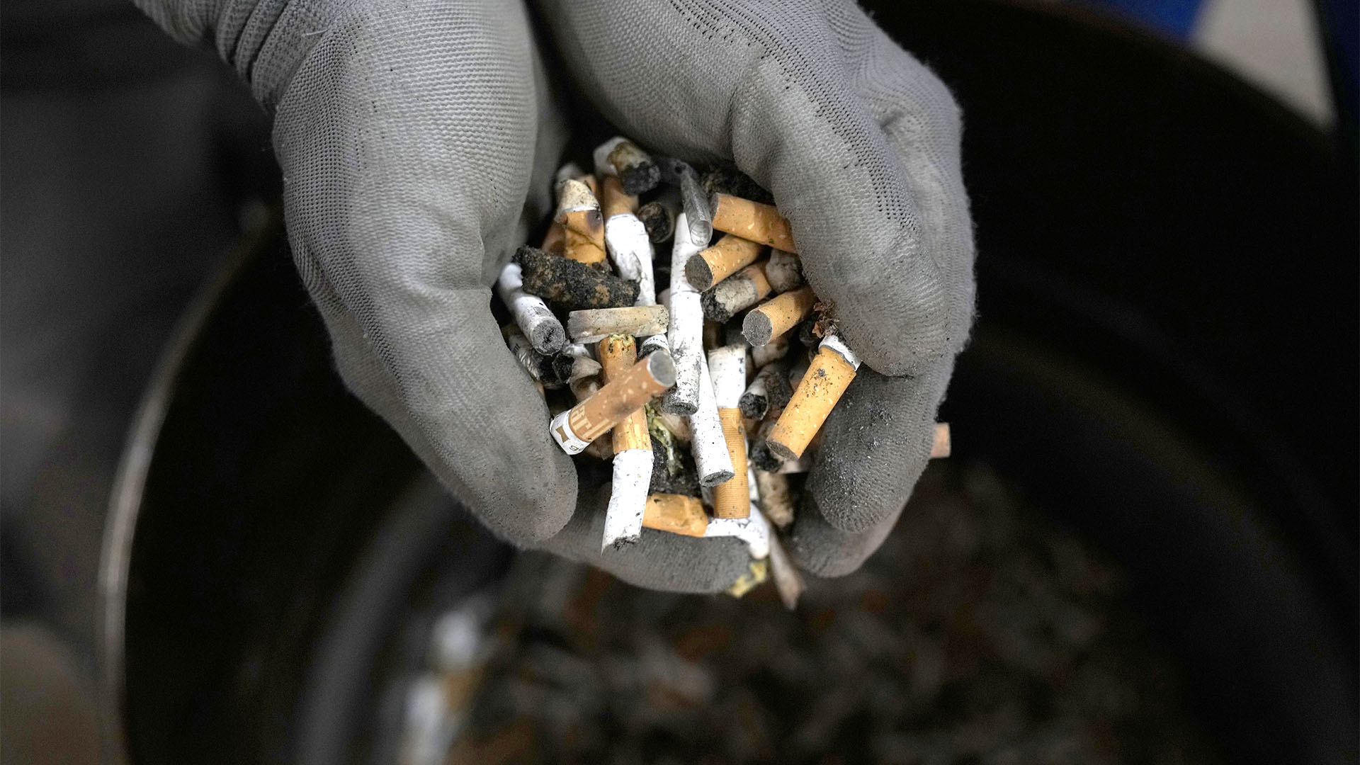 Cigarette butts collected for recycling (AP Photo/Thanassis Stavrakis)