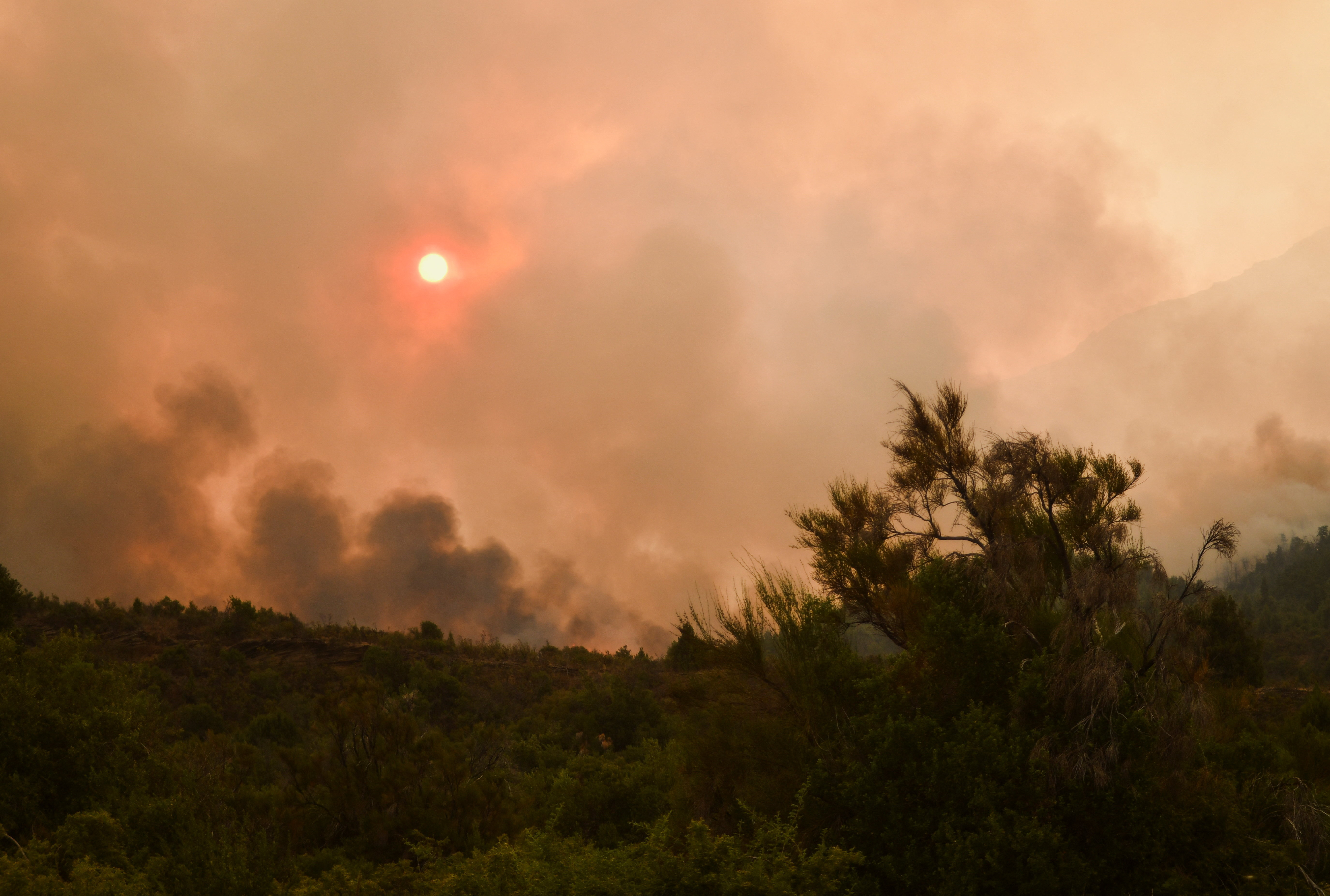 El Gobierno de Entre Ríos y La Libertad Avanza negocian cargos clave en organismos nacionales