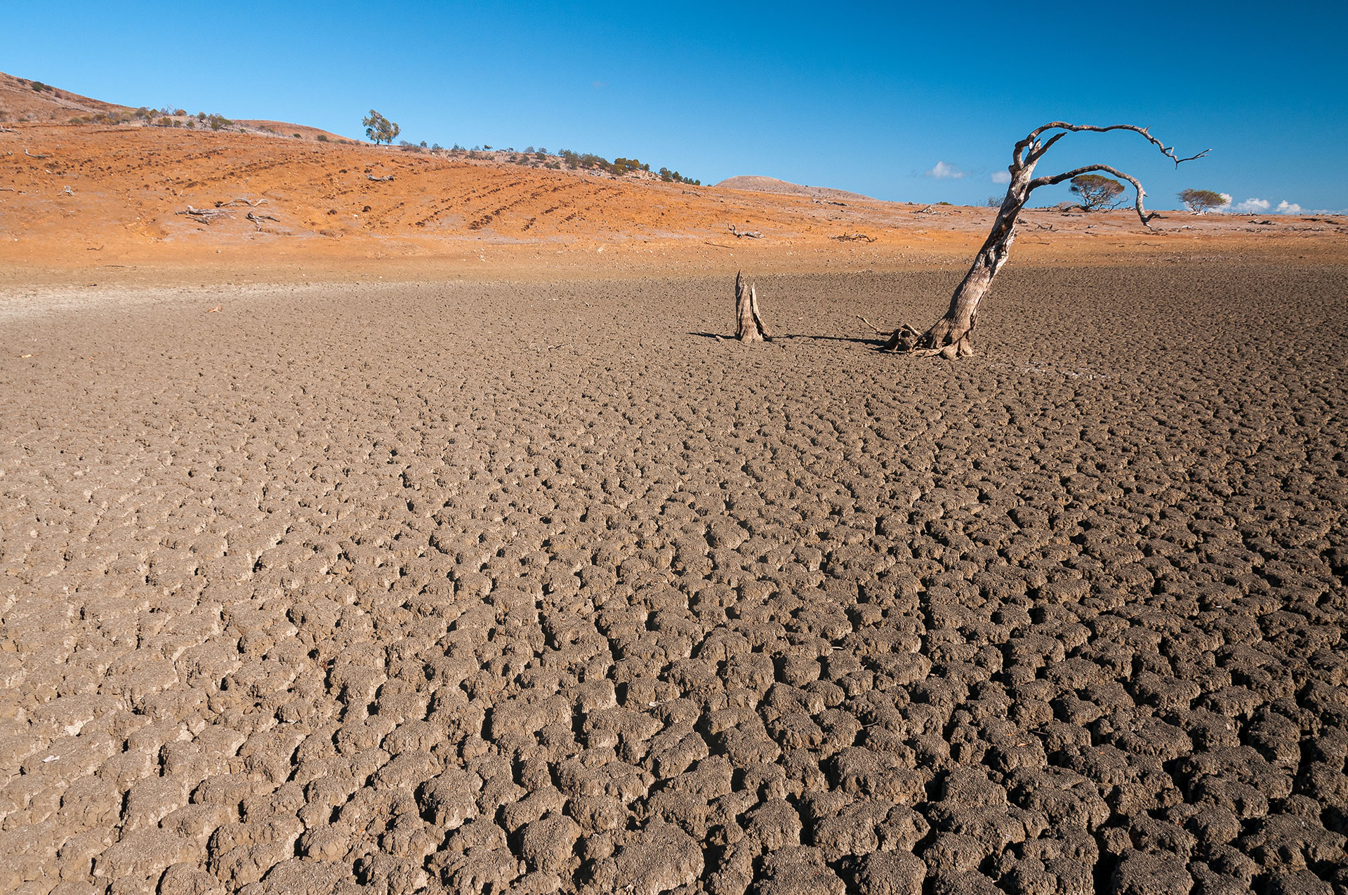 El fenómeno de La Niño también influye en las sequías, de acuerdo a otro estudio científico realizado en Australia (Getty)