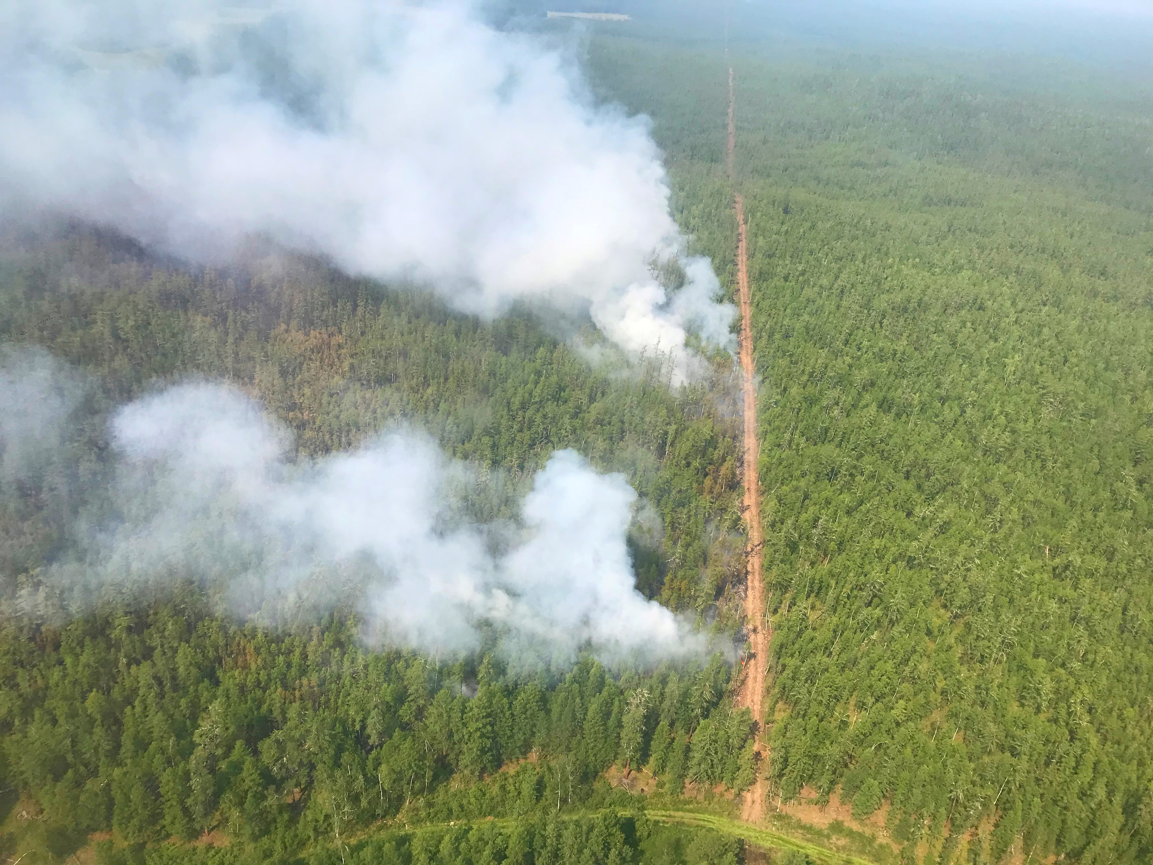  (Servicio Aéreo de Protección Forestal via REUTERS)