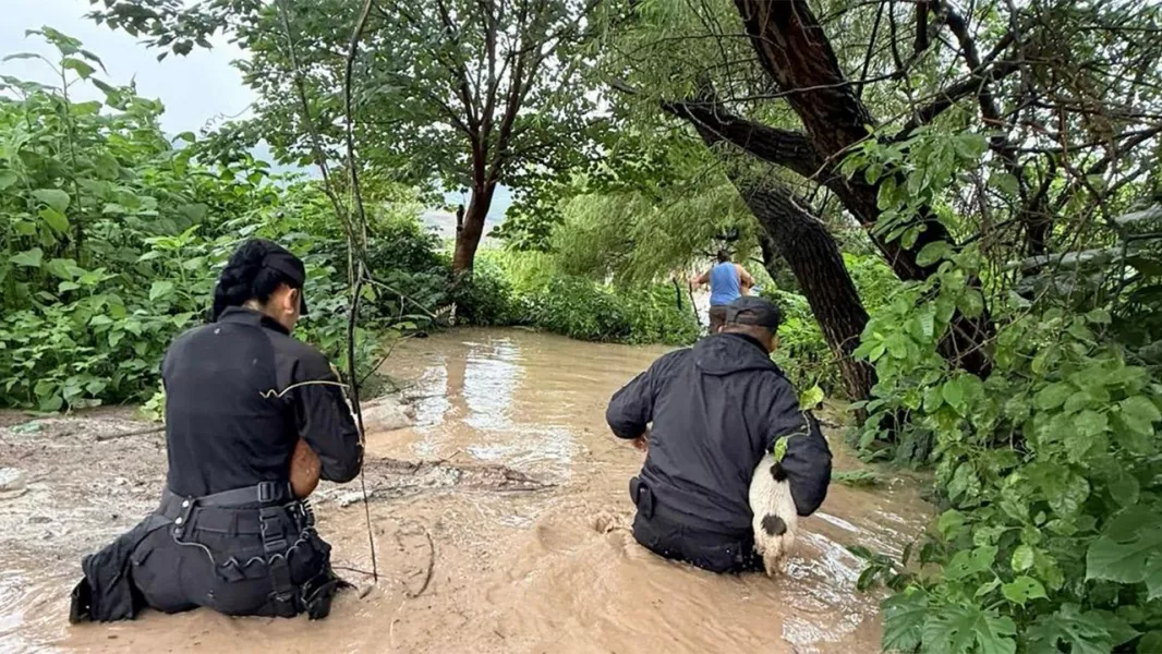 Temporal en Salta: decenas de familias debieron ser evacuadas por las inundaciones en cinco localidades