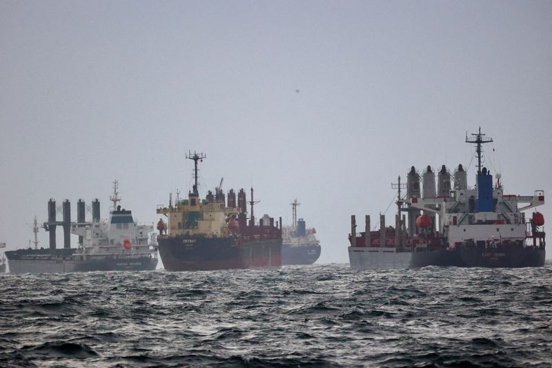 Foto de archivo de embarcaciones que esperan la inspección bajo la Iniciativa de Granos del Mar Negro de las Naciones Unidas en el fondeadero sur del Bósforo en Estambul (REUTERS/Yoruk Isik)