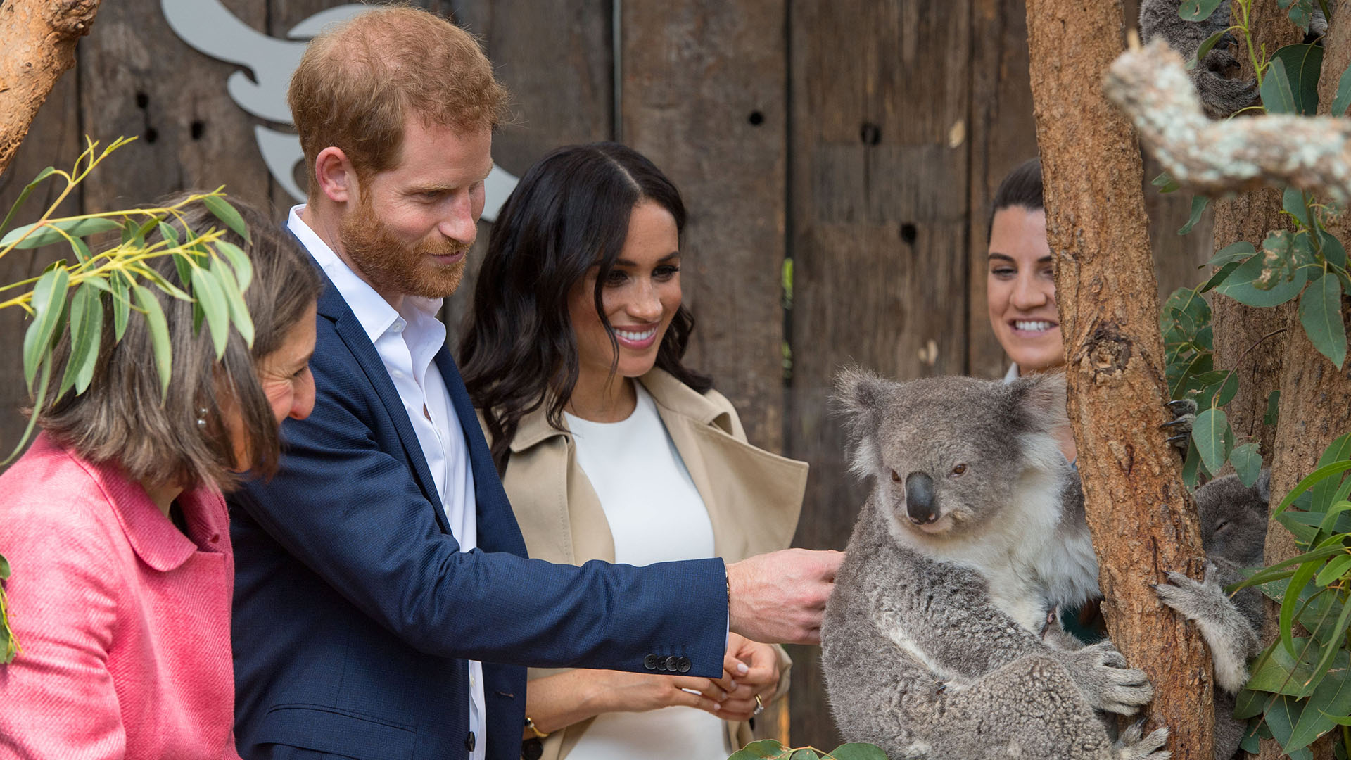 El duque y la duquesa de Sussex durante una visita al zoológico de Taronga en Sydney  (Reuters)